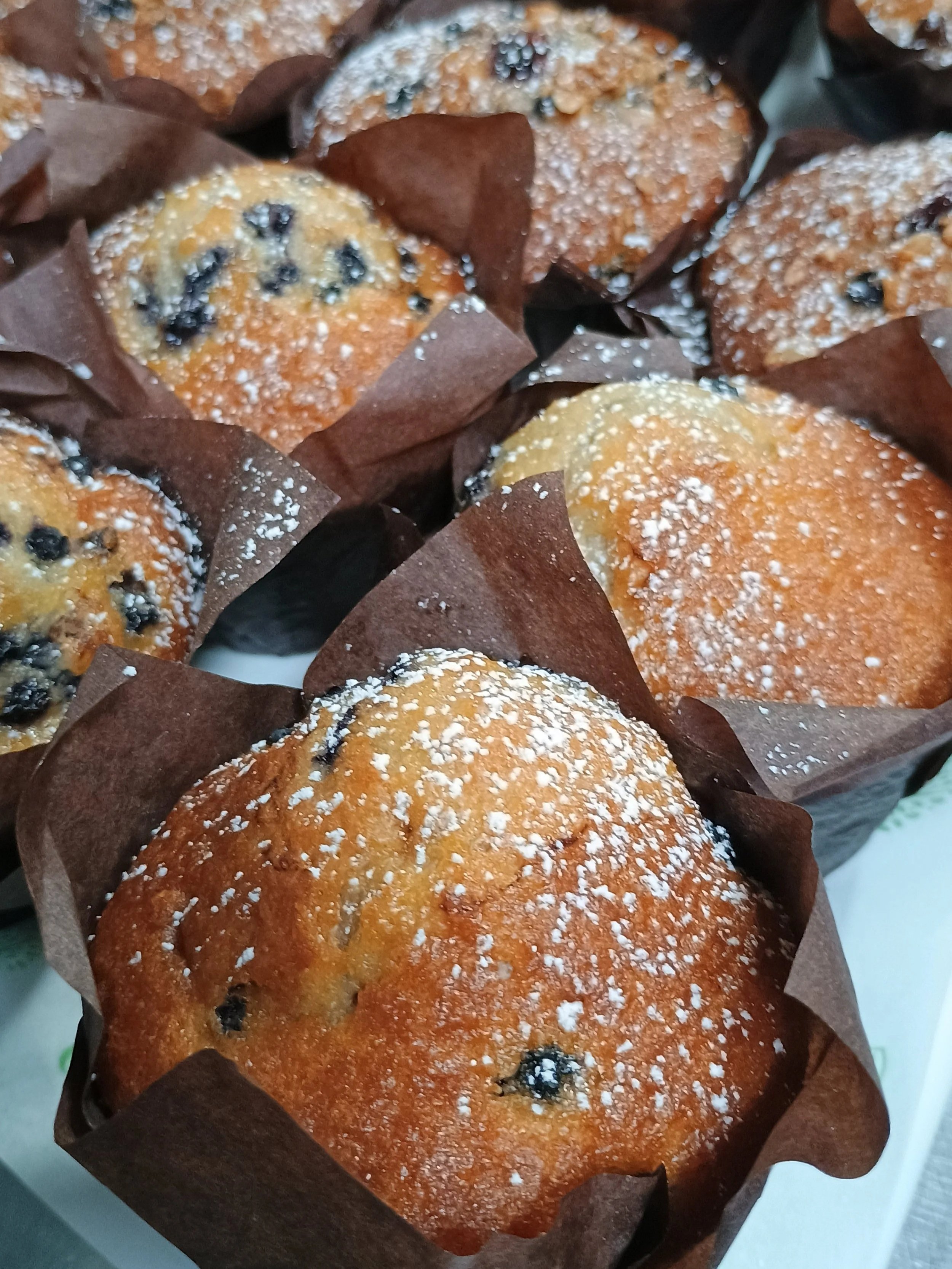 Freshly Baked Premium Muffins