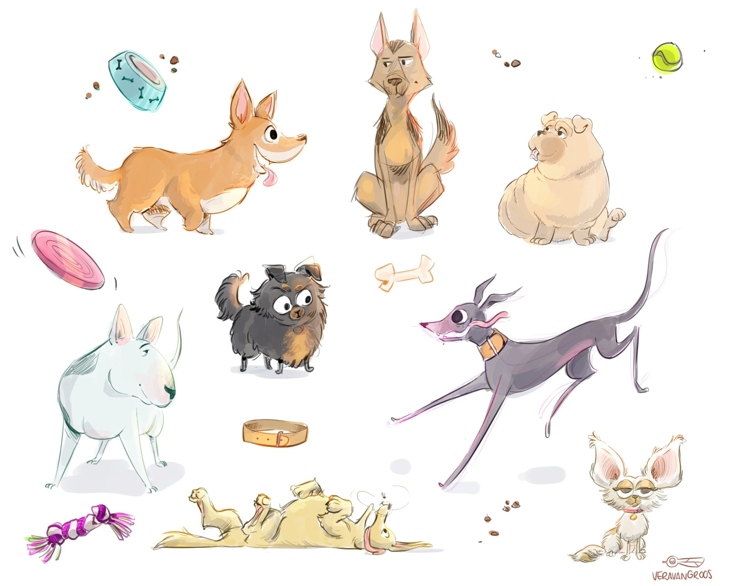 Illustration of various dogs with accessories and toys, including a happy corgi, a sitting golden retriever, a fluffy Pomeranian, a cute Chihuahua, a greyhound in motion, a small black and tan dog, a white dog with a slightly grumpy expression, a sma