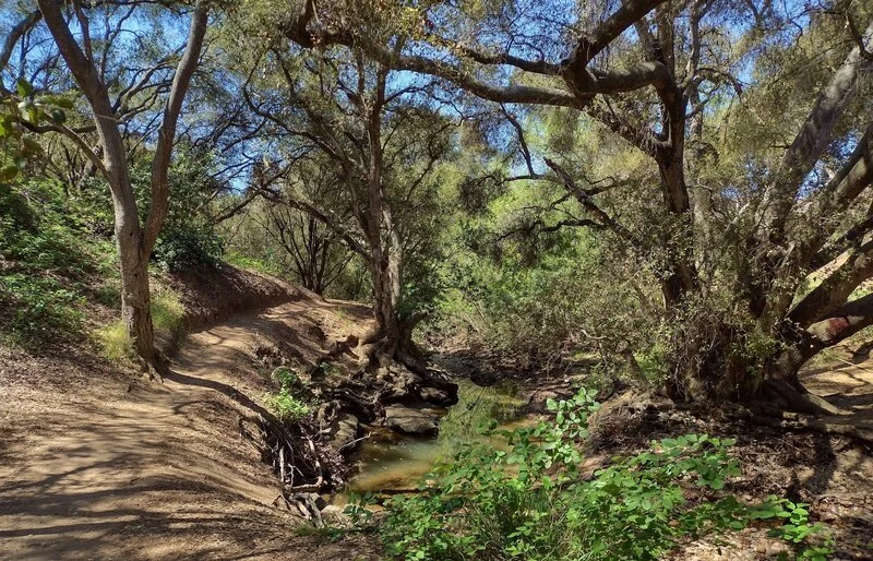 Public Meeting – Tecolote Canyon Trunk Sewer Project – September 9