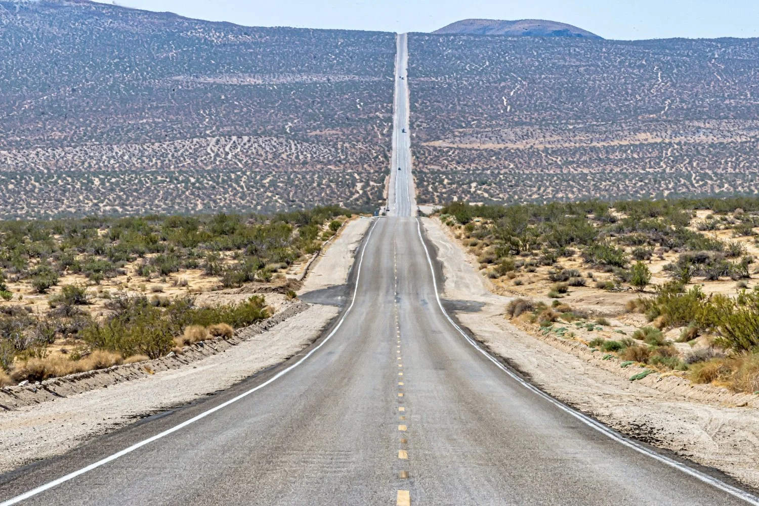 Maximizing Earnings with Dedicated and Regional Lanes