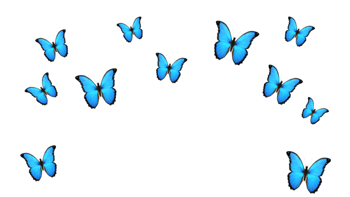 Multiple blue butterflies flying against a transparent background.