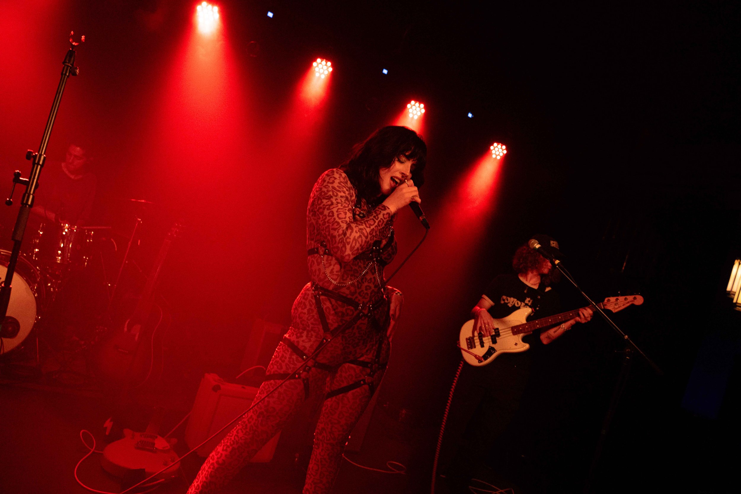 DSC05665.jpg