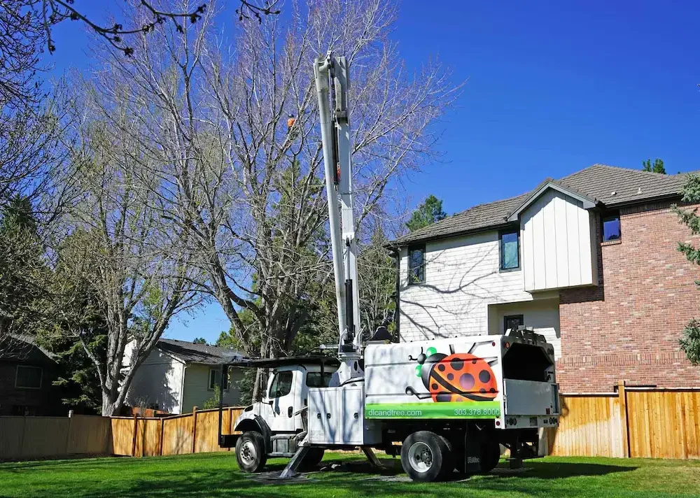 Tree trimming service truck with a cherry picker lift in a residential backyard, with houses, trees, and a wooden fence.