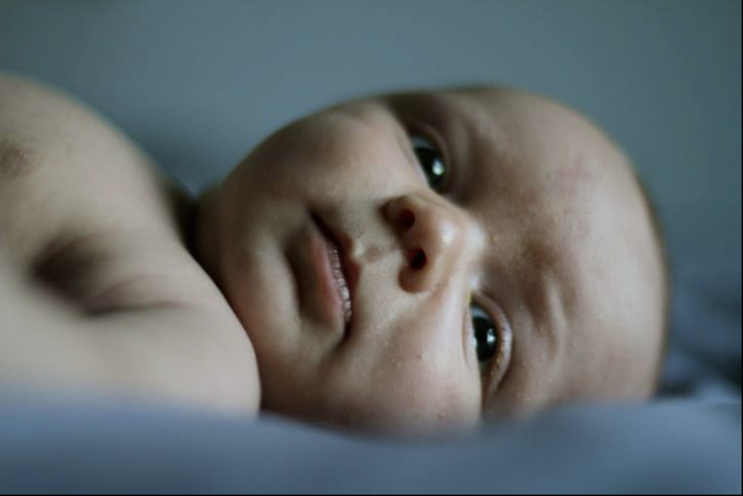 Screenshot 2026-01-31 at 7.30.31 PM.png