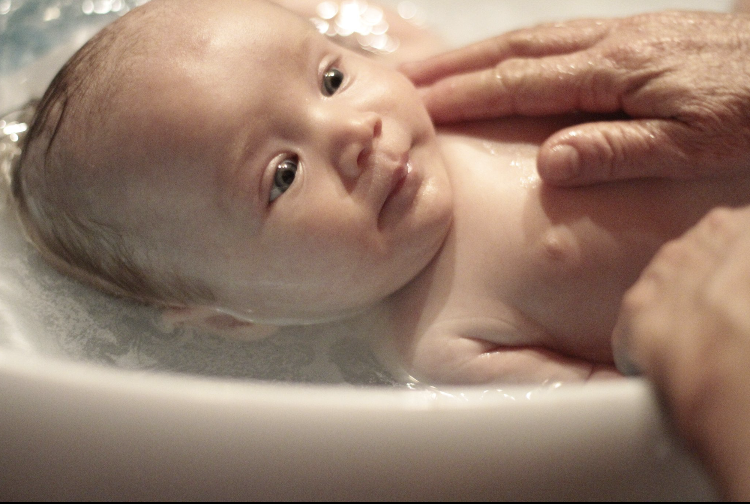 Screenshot 2026-01-31 at 7.22.01 PM.png