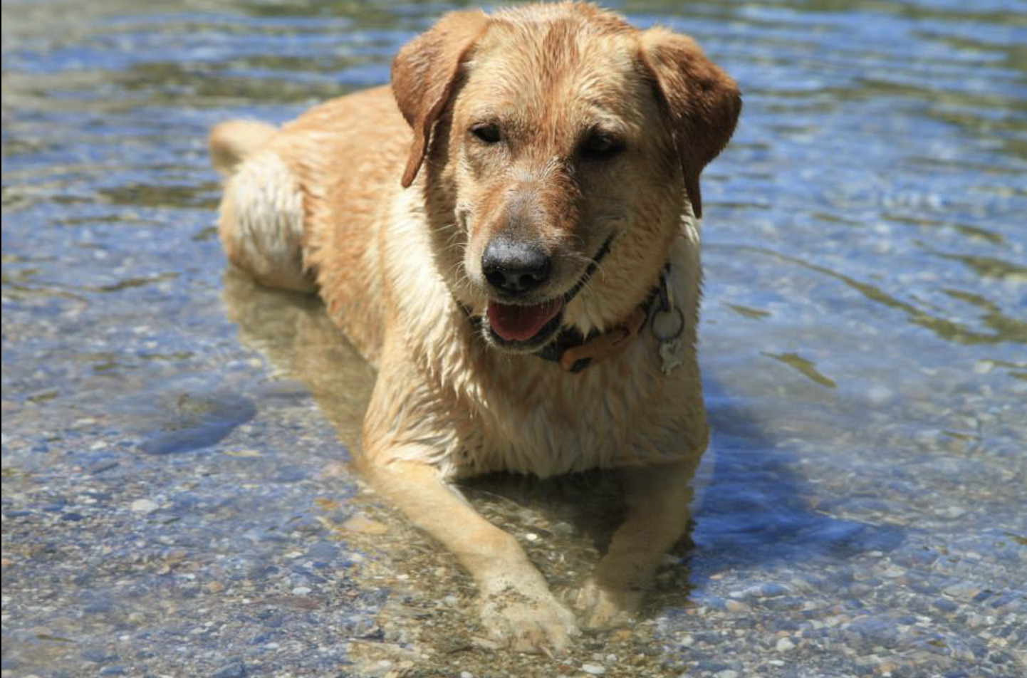 Screenshot 2026-01-31 at 7.32.45 PM.png