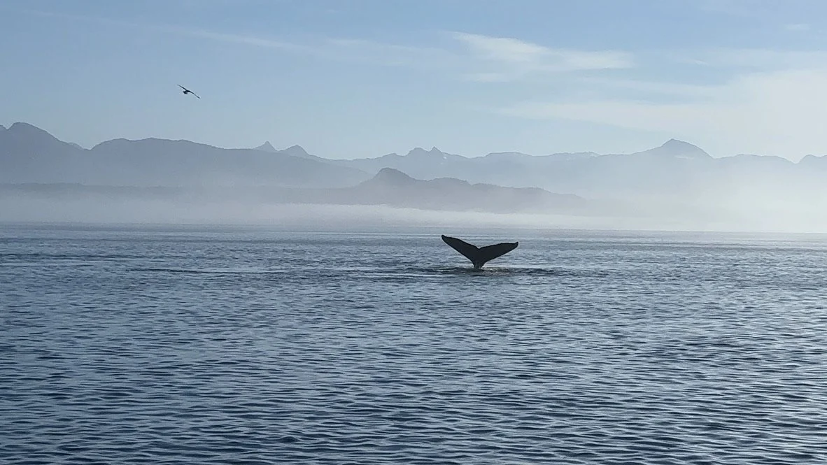 Icy Strait Point, Alaska: The Ultimate Guide to This Unforgettable Cruise Port