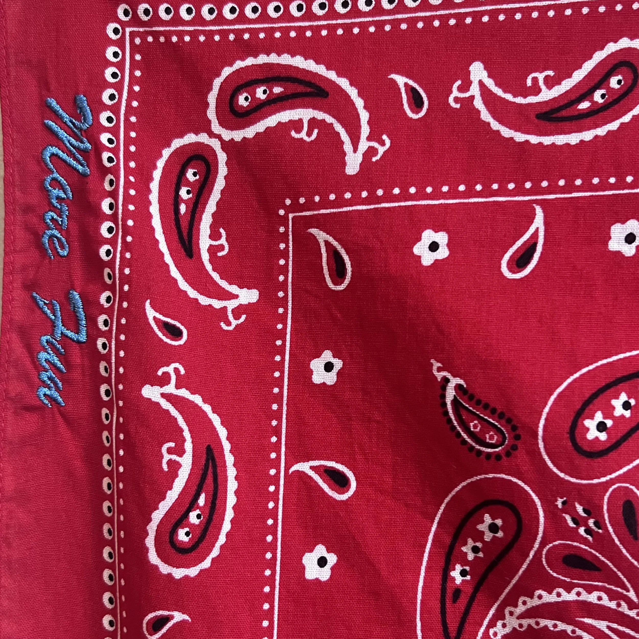 lucky you red detail 1.jpg