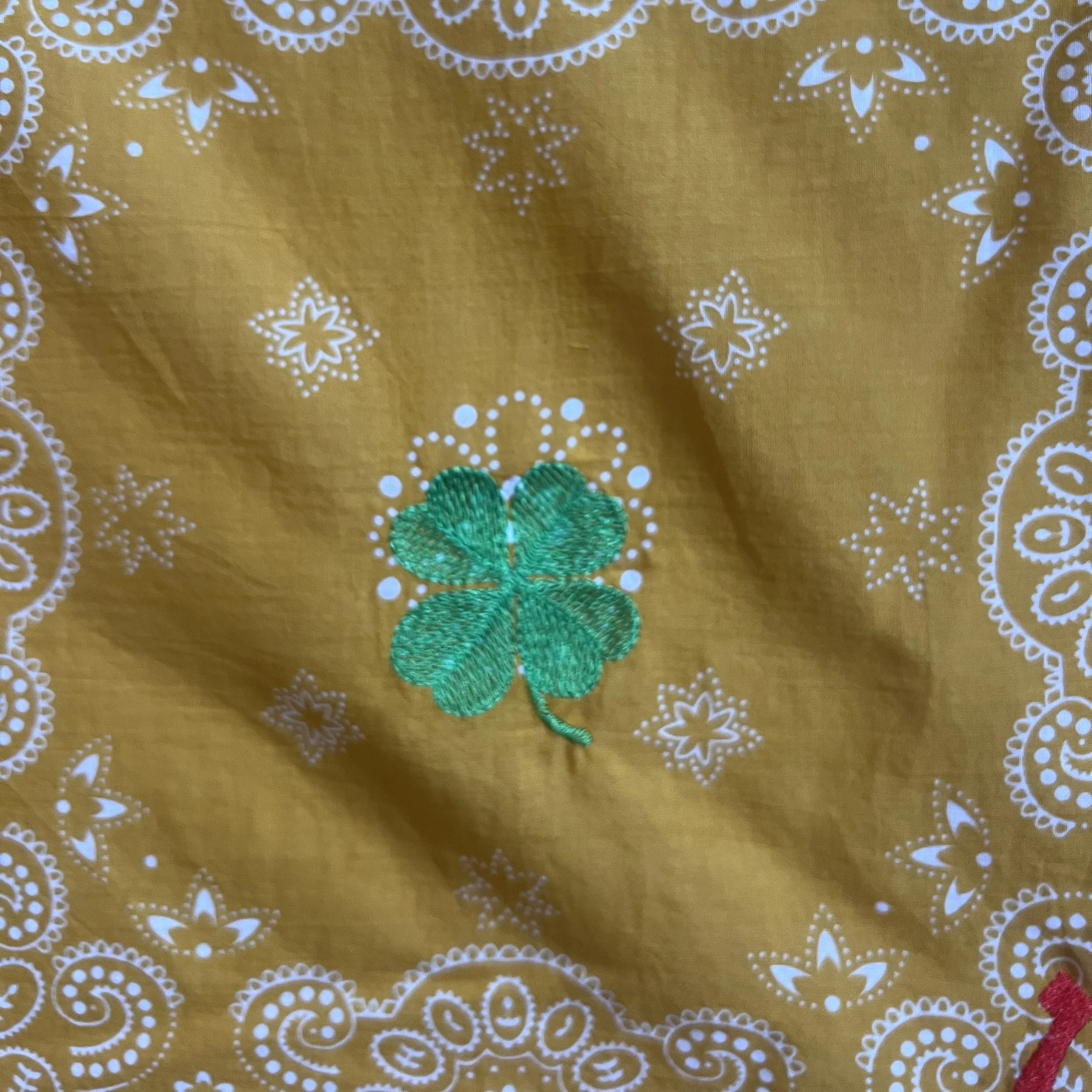 lucky charms detail 2.jpg