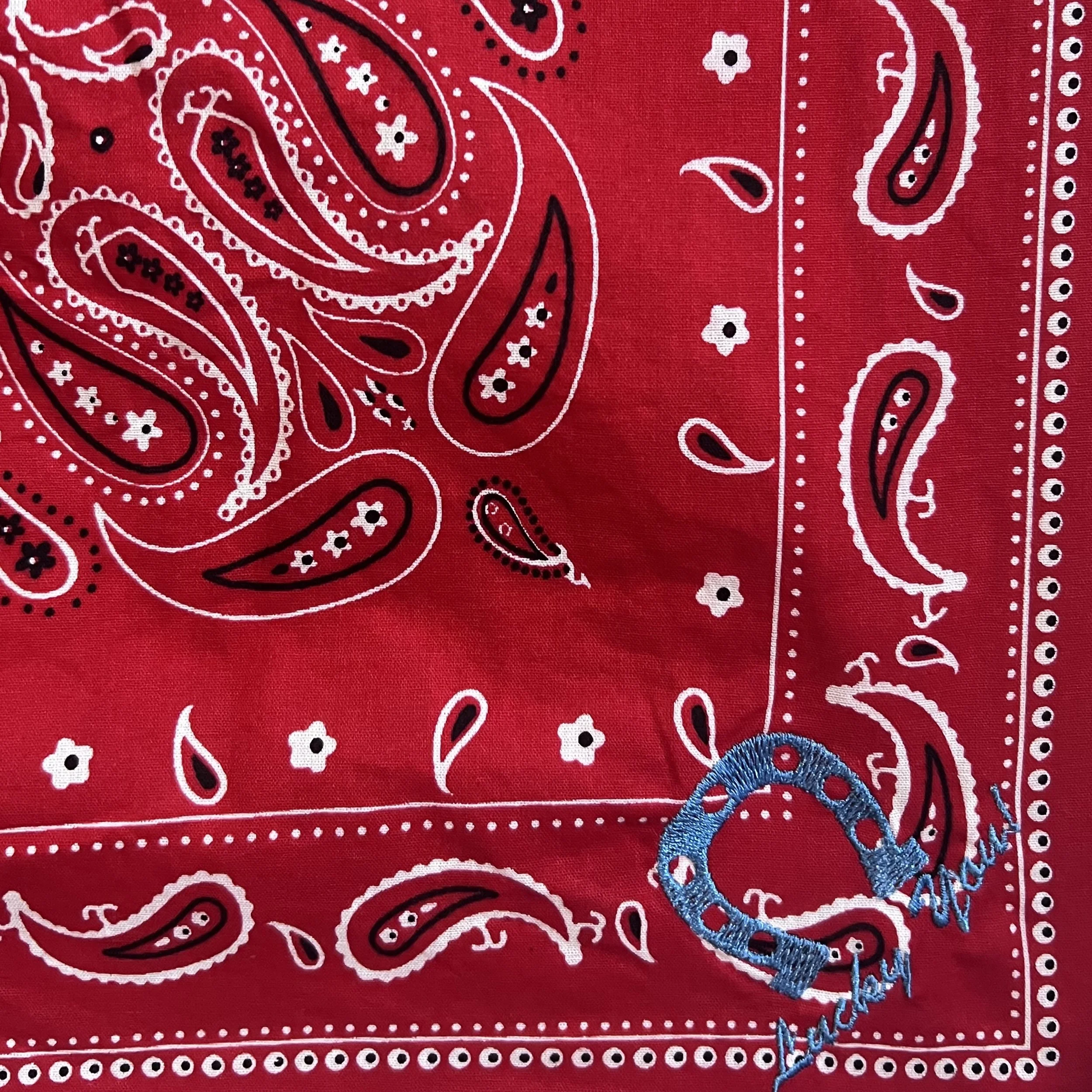 lucky you red detail 2.jpg