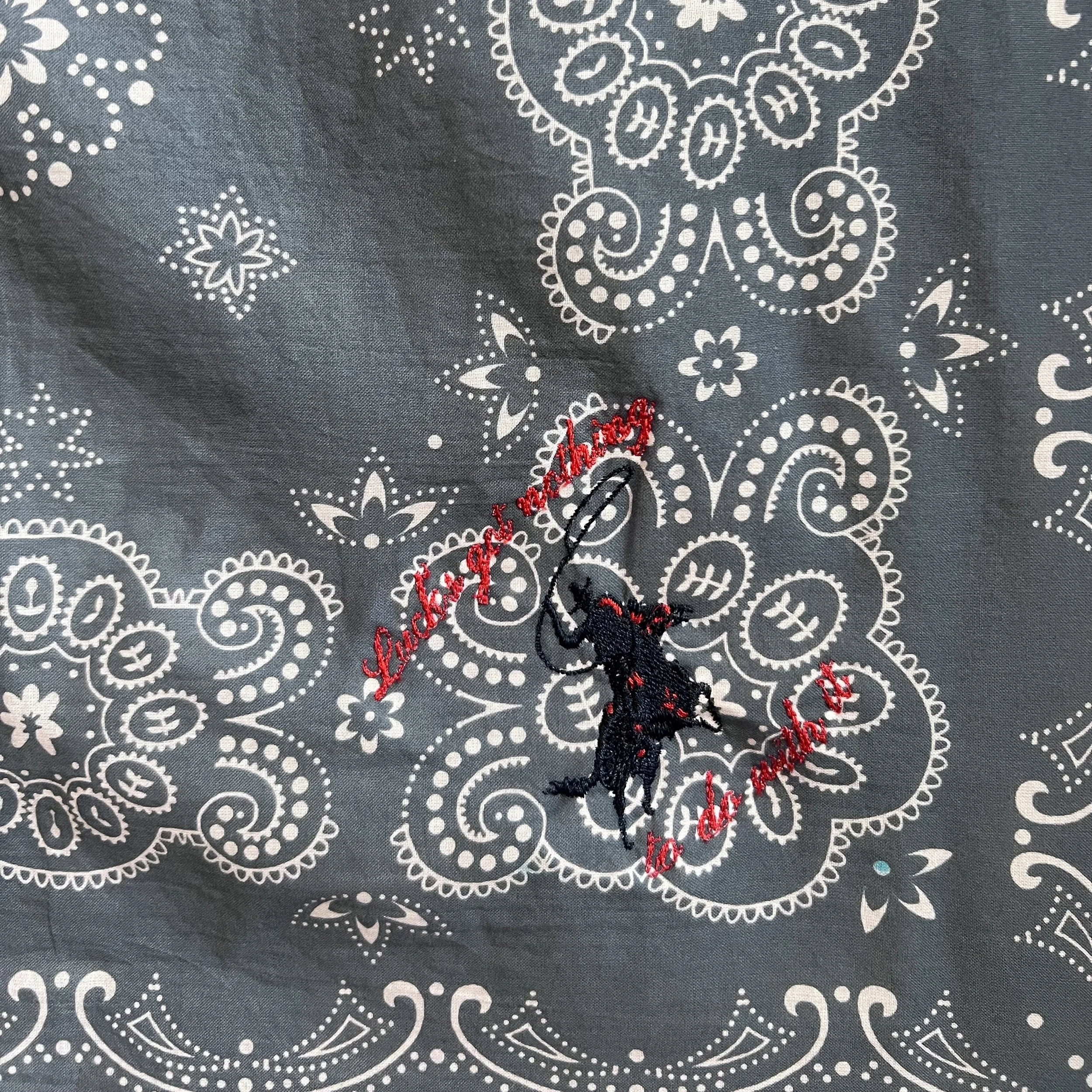 lucks got nothing detail.jpg