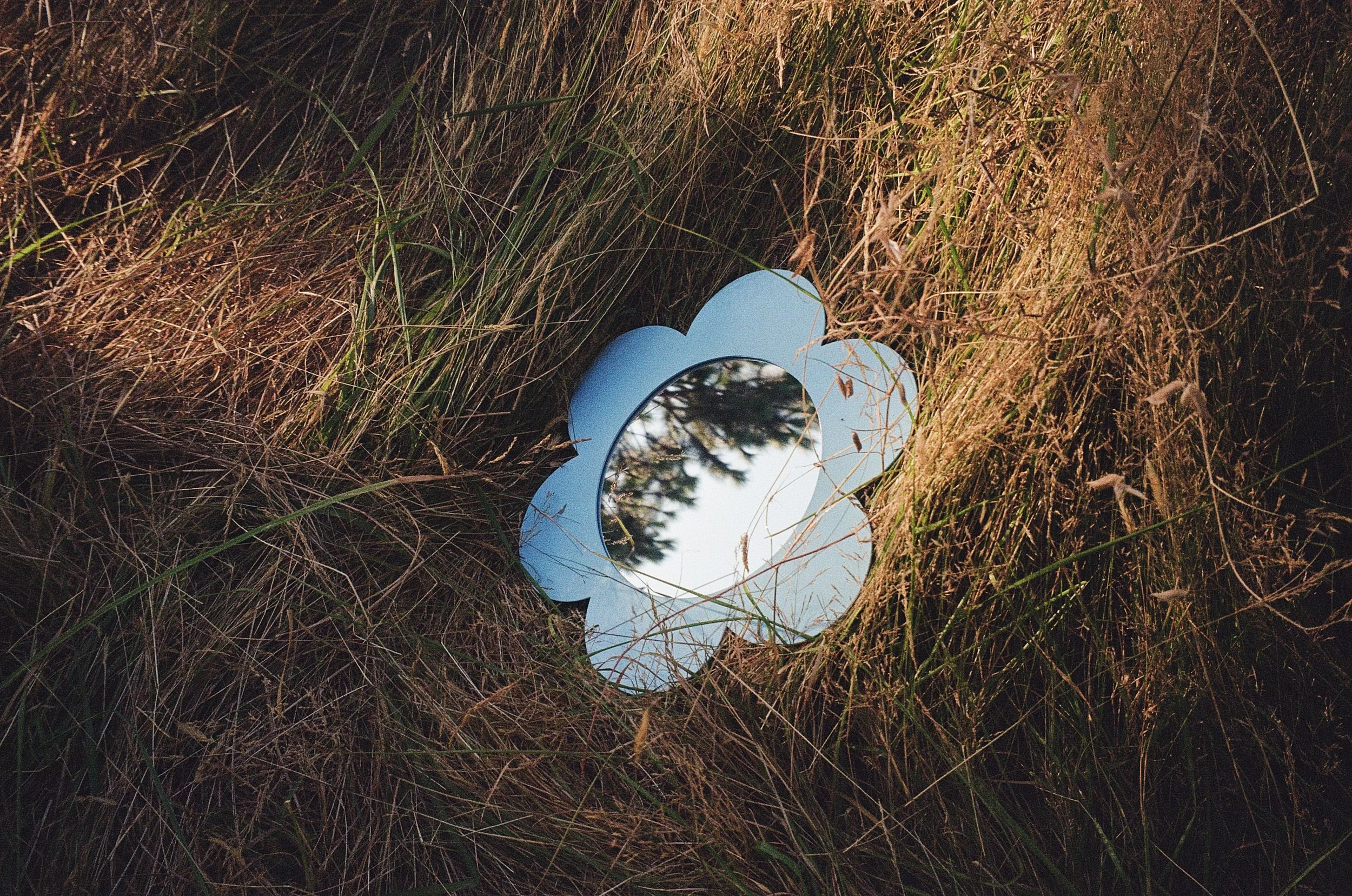 heart-shaped mirror lying on dry grass in a natural outdoor setting, reflecting nearby trees and sky.