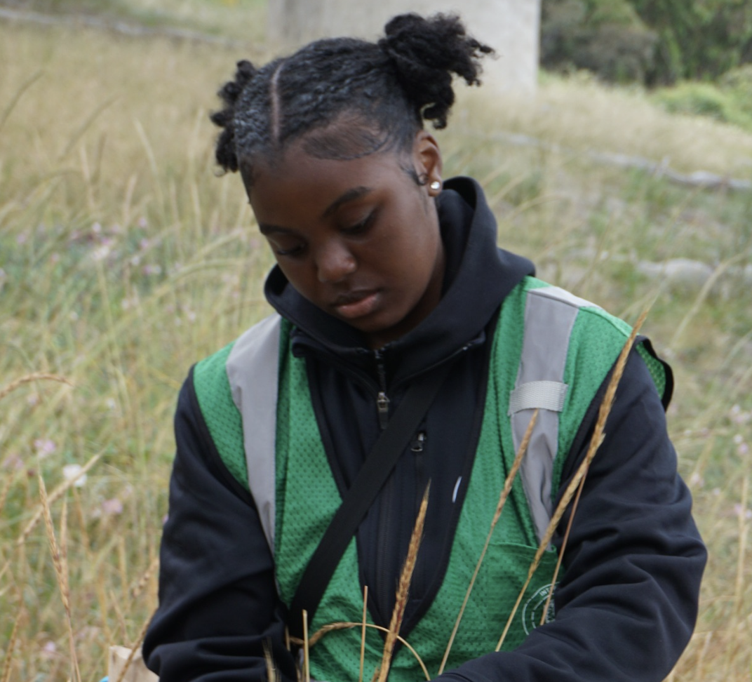 Screenshot 2024-10-18 at 3.02.07 PM.png