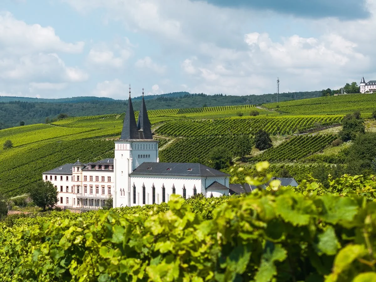 Drohnenbilder im Rheingau 🍇✨

Umgeben von den Weinbergen bietet das Kloster Johannisberg eine tolle Atmosph&auml;re f&uuml;r Luftaufnahmen. 🌄

#luftkunstwerk #Rheingau #Weinberge #Drohnenfotografie #Luftaufnahmen  #Weinliebhaber #Naturwunder #djima