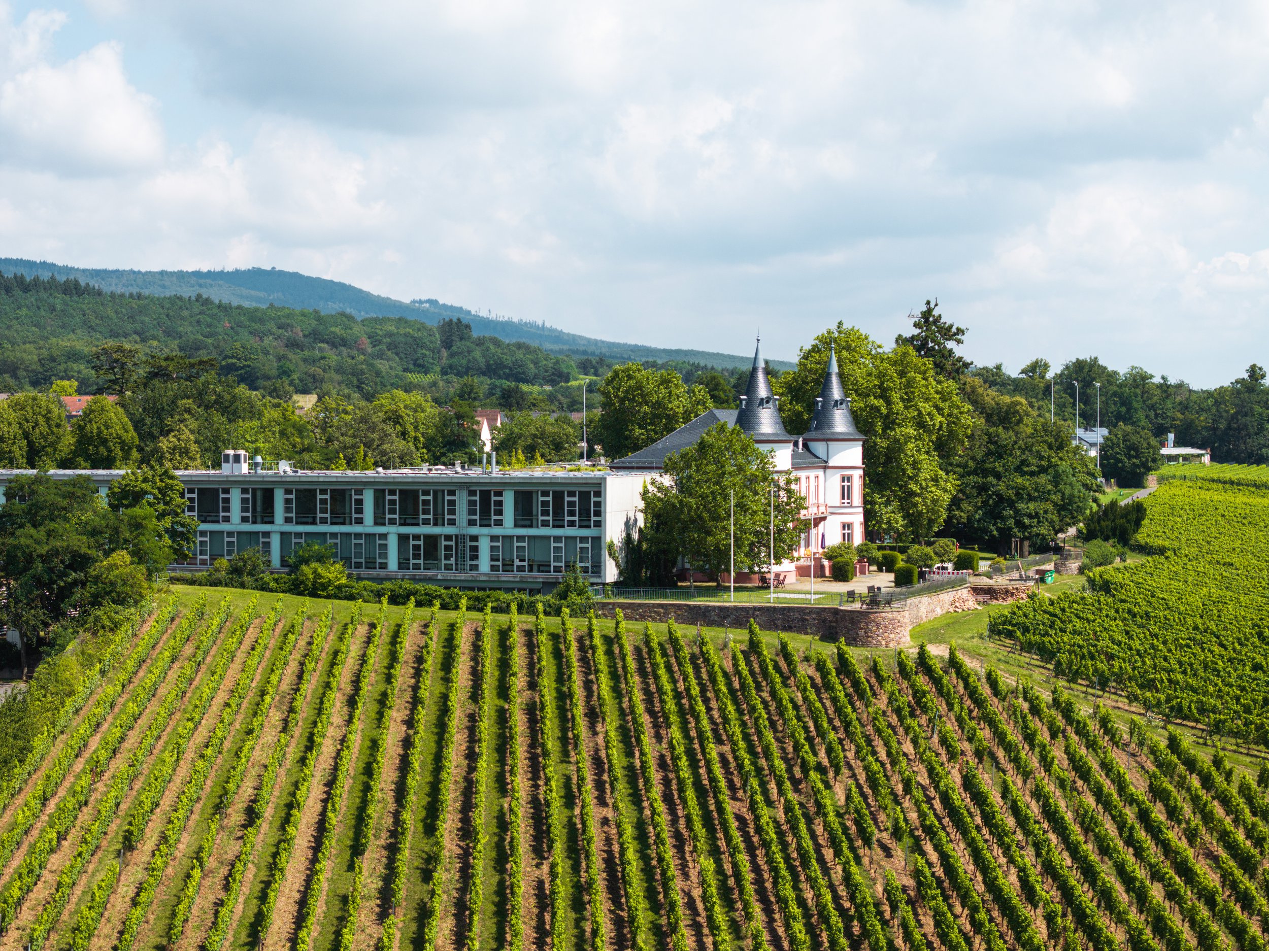 240728 Schloss-10.jpg