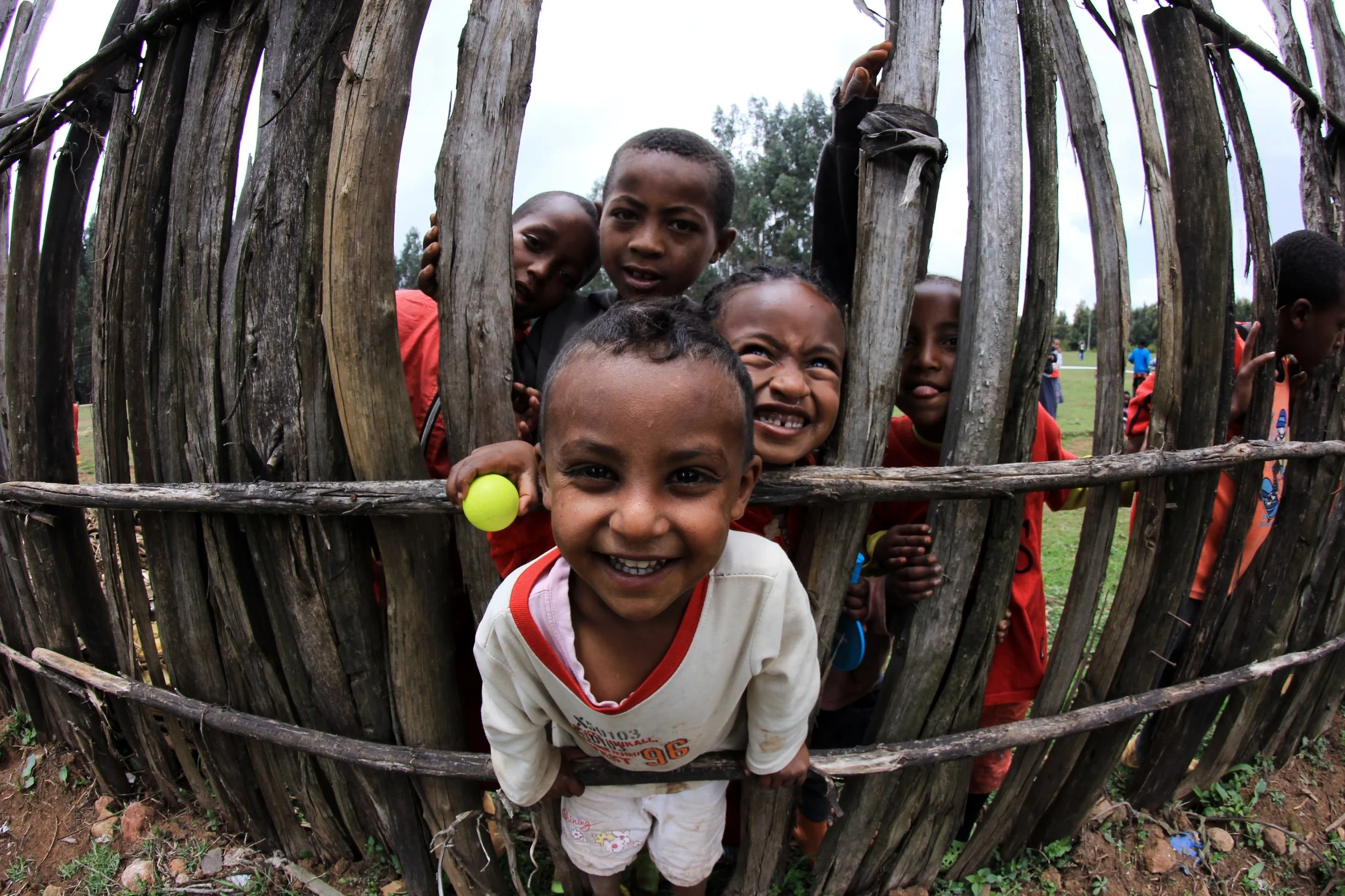 Six children peering through a rustic wooden fence, smiling and looking at the camera in a grassy outdoor area.