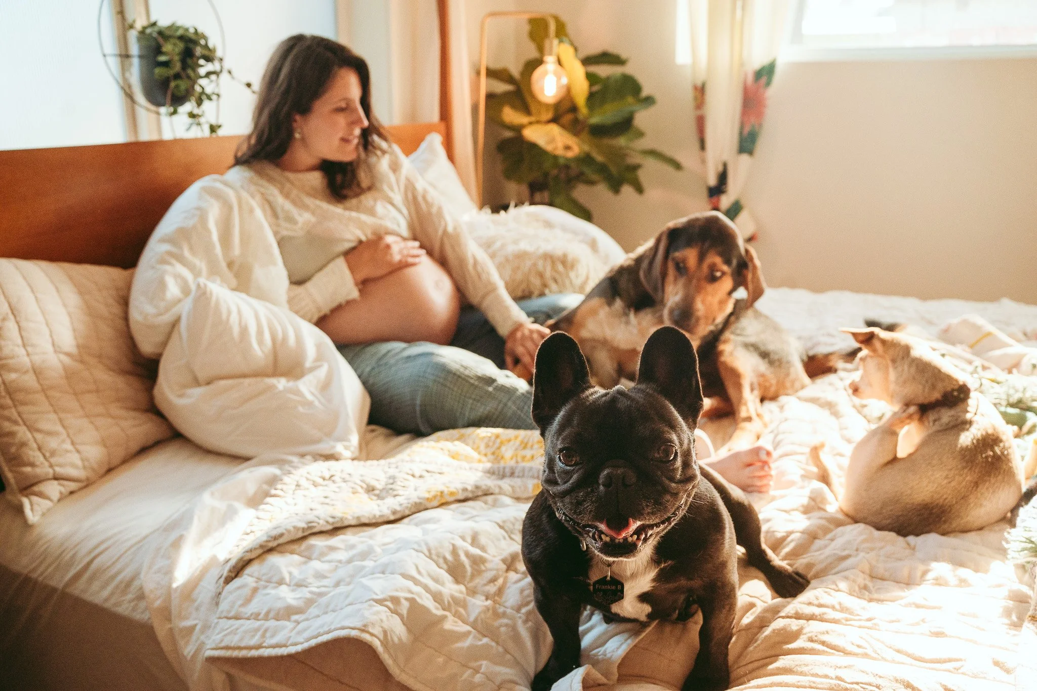 DSC04931.jpg