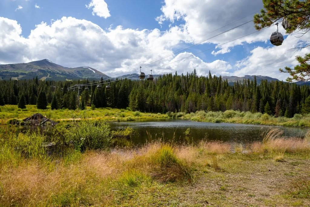 Trail through Cucumber Gulch Wildlife Preserve wetlands near Breckenridge, Colorado