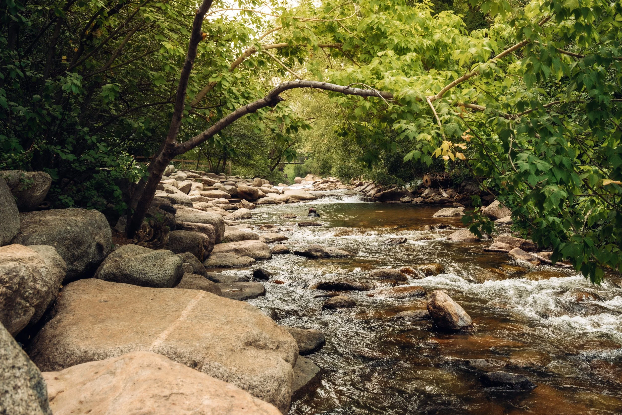 The Boulder Creek that runs through Eben G Fine park which is perfect for photos.