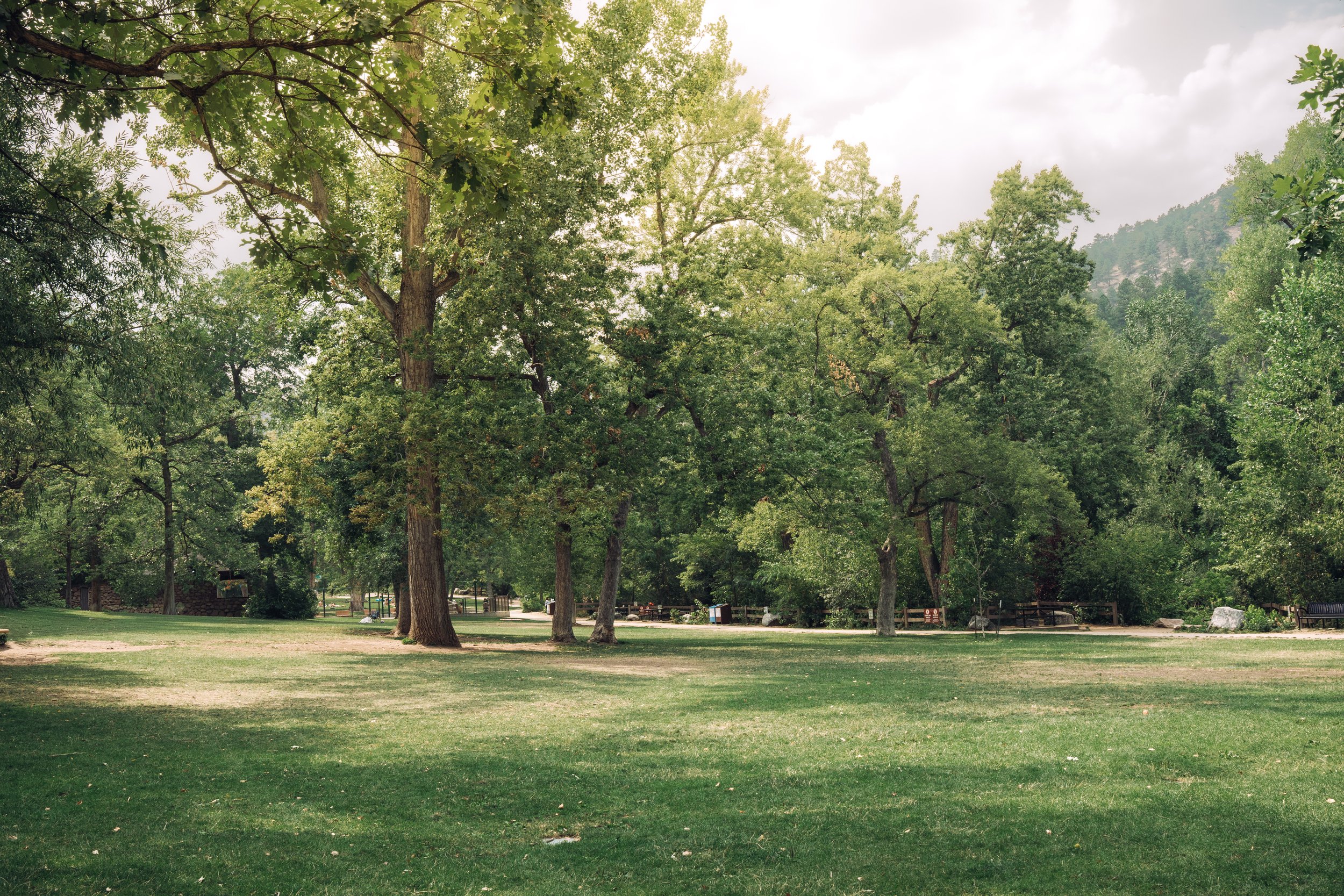 Eben G Fine park in Boulder with green space and trees. Perfect for photos.
