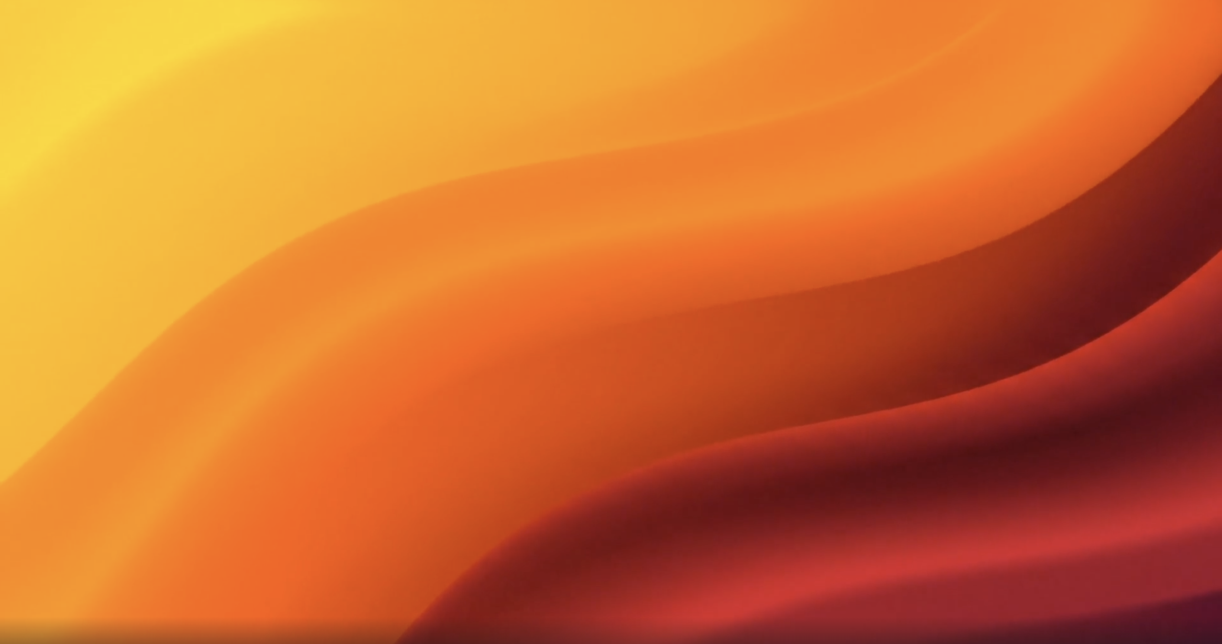 What High-Performing Brands Do Differently Online