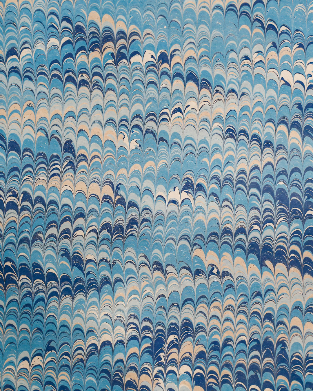 POINT NORTH PLAYBOOK (2).png