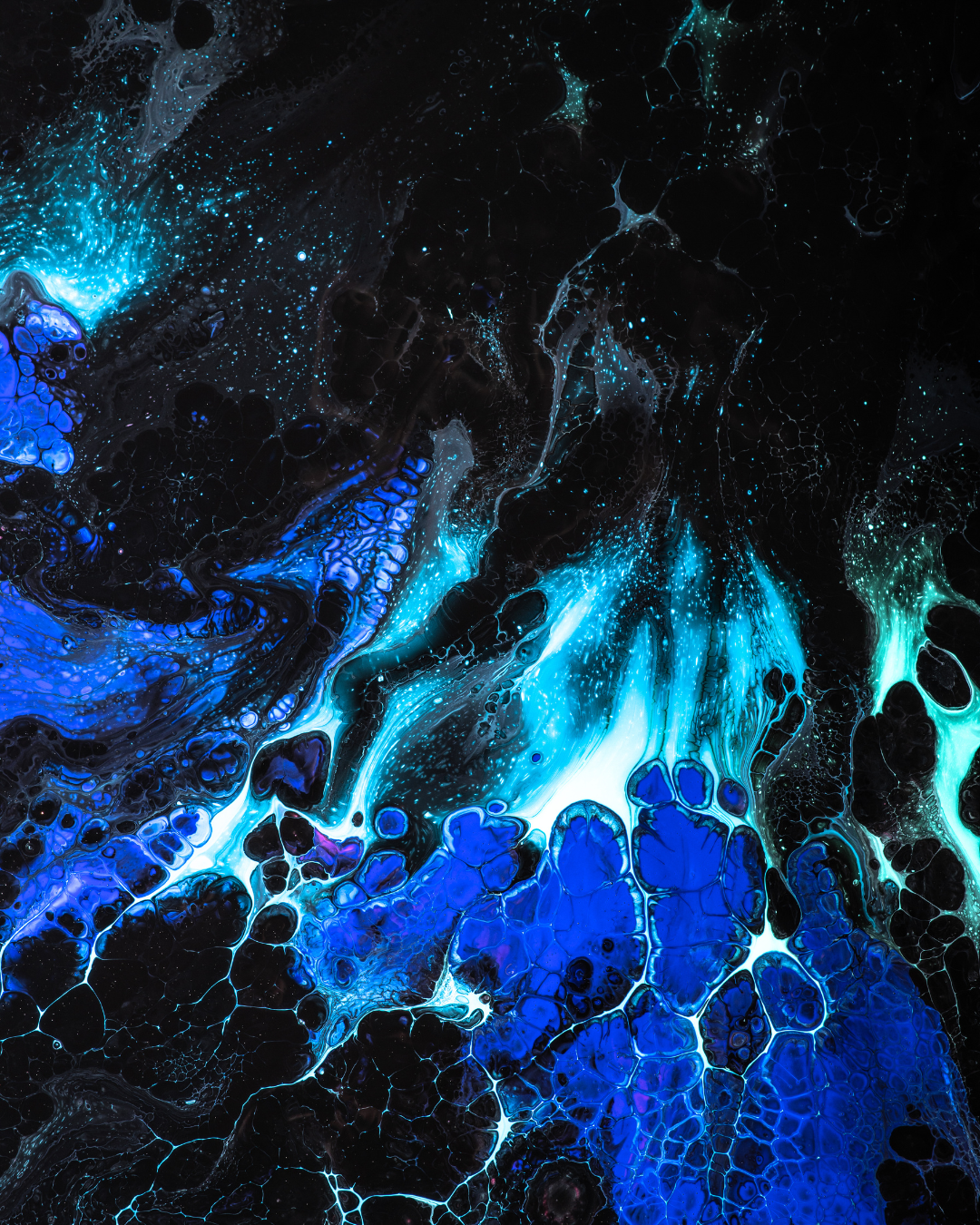 POINT NORTH PLAYBOOK (3).png