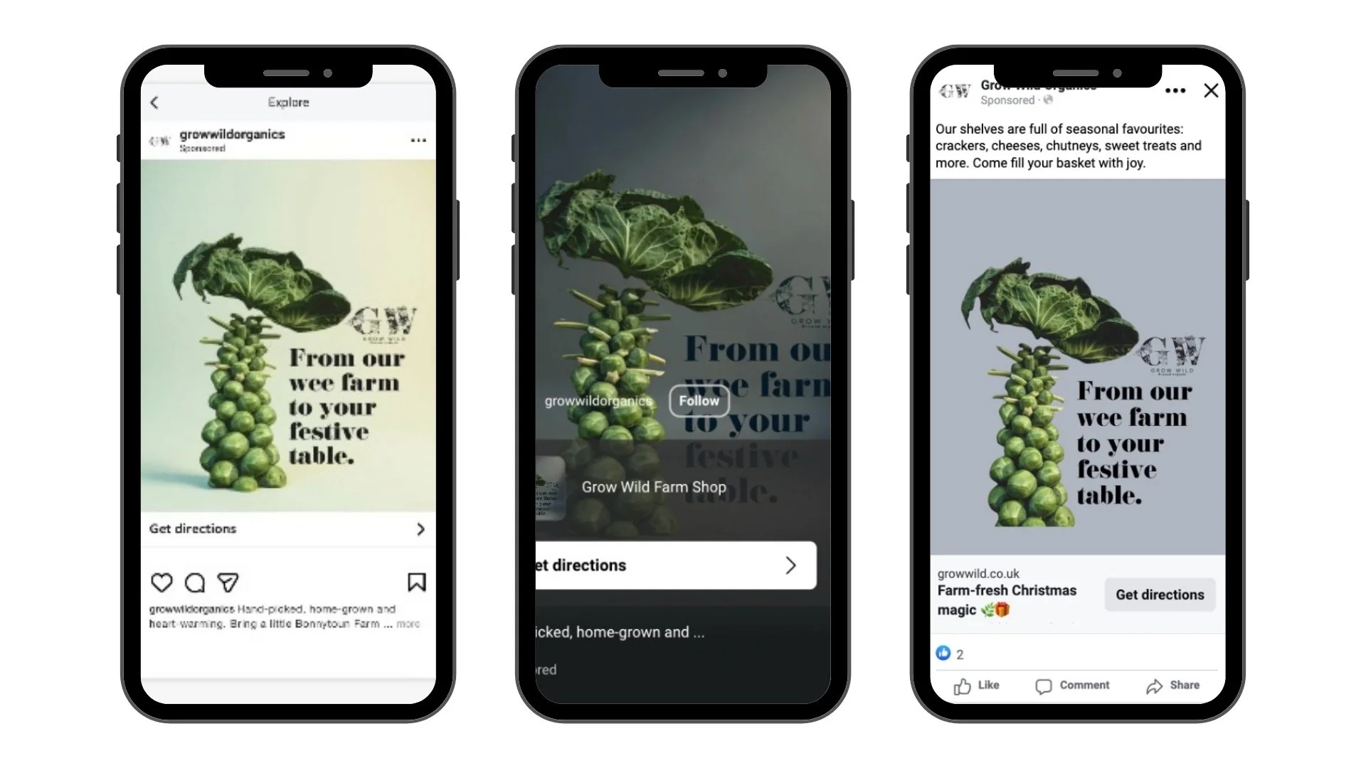 Untitled design (3).jpg