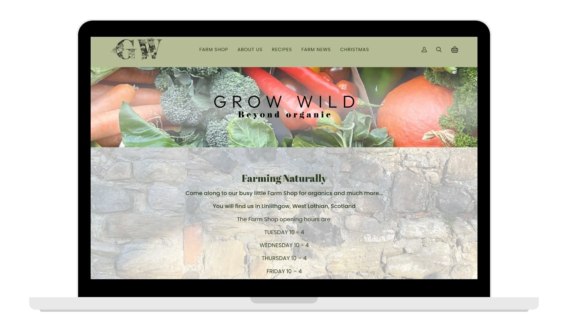 Untitled design (4).jpg