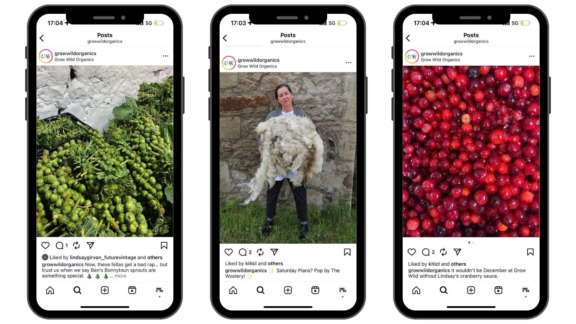 Untitled design (5).jpg