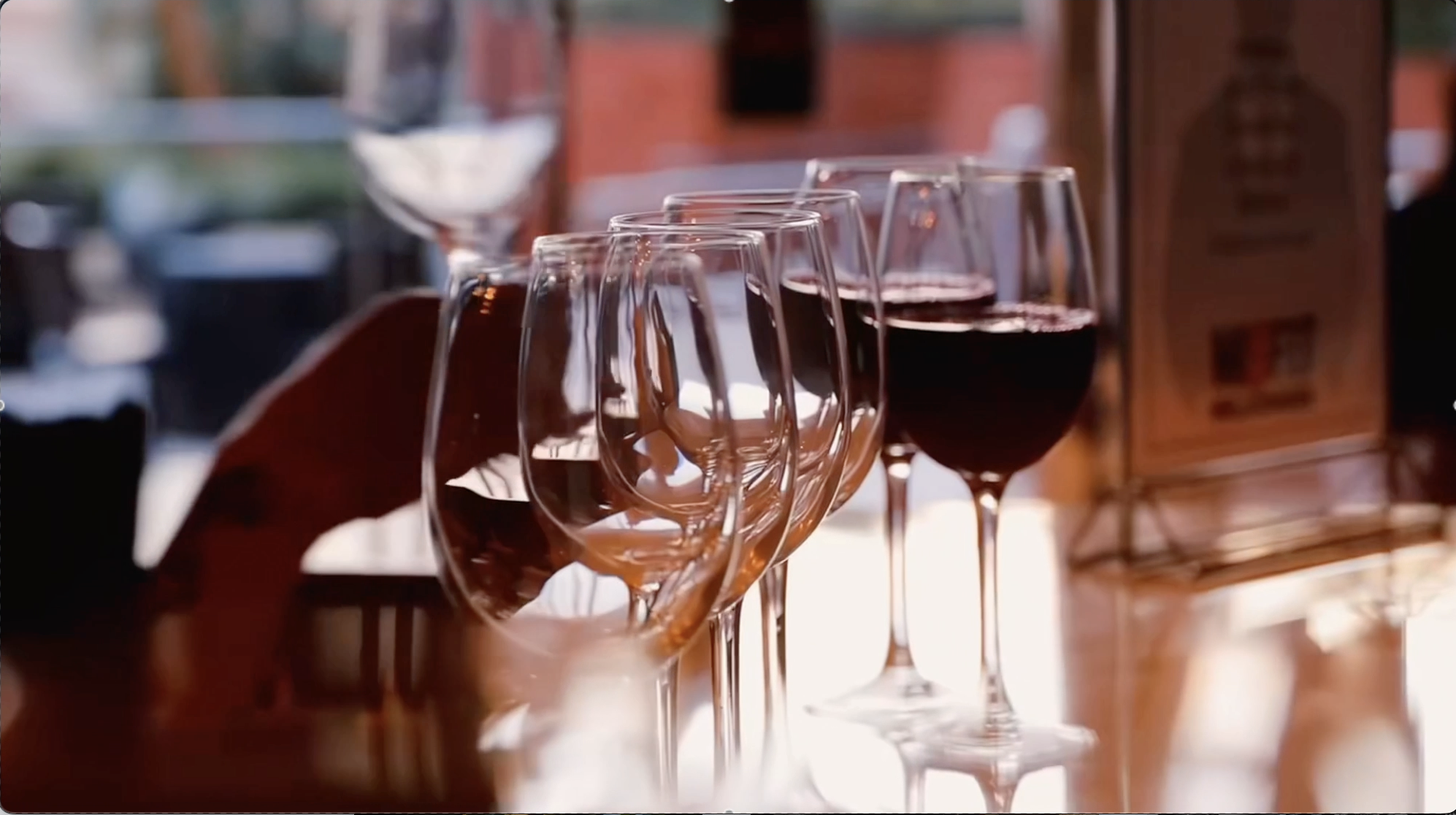 Screenshot 2026-02-17 at 9.56.09 PM.png