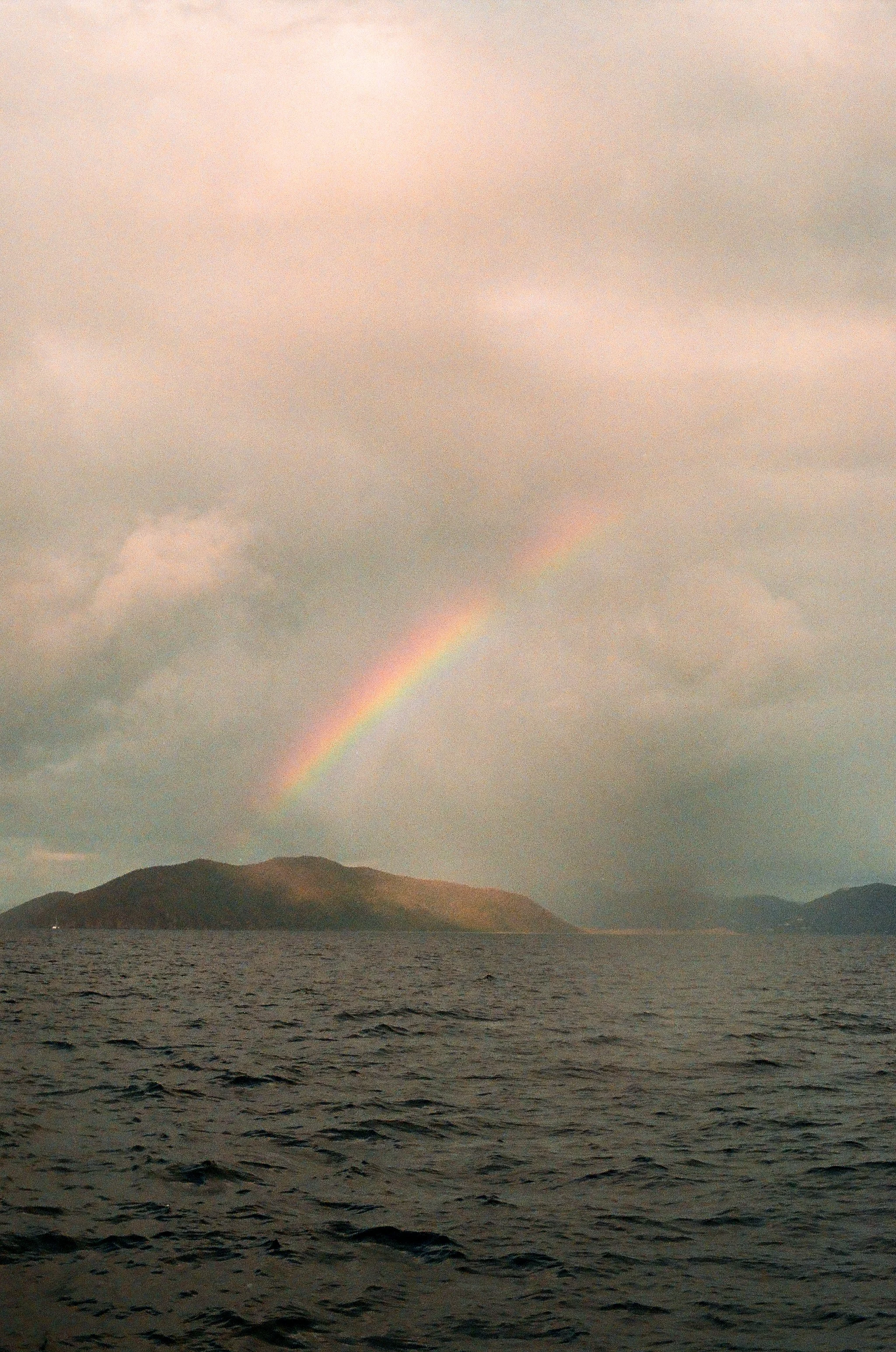 bvis portfolio - 12 of 76.jpeg