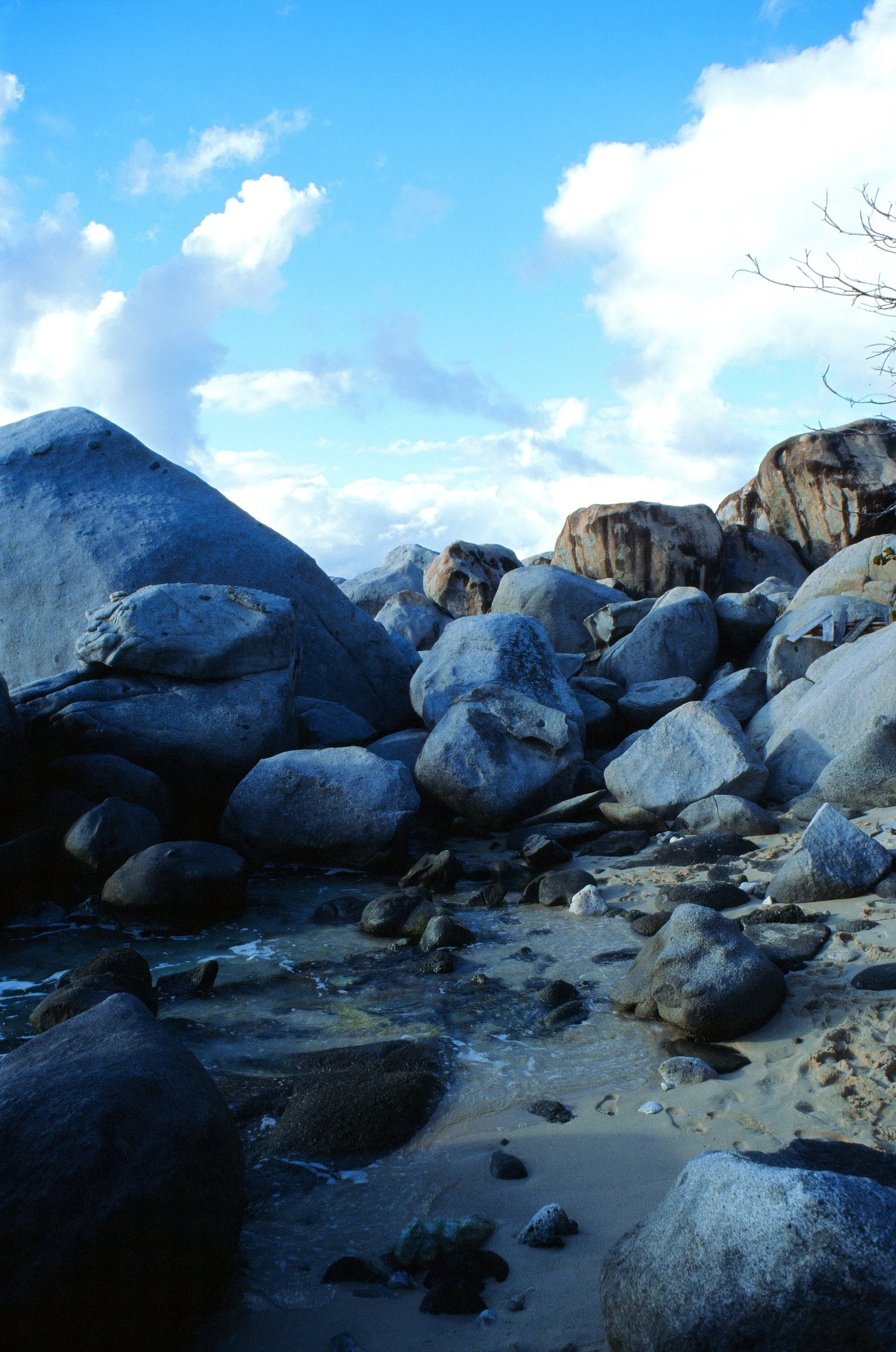 bvis portfolio - 10 of 76.jpeg