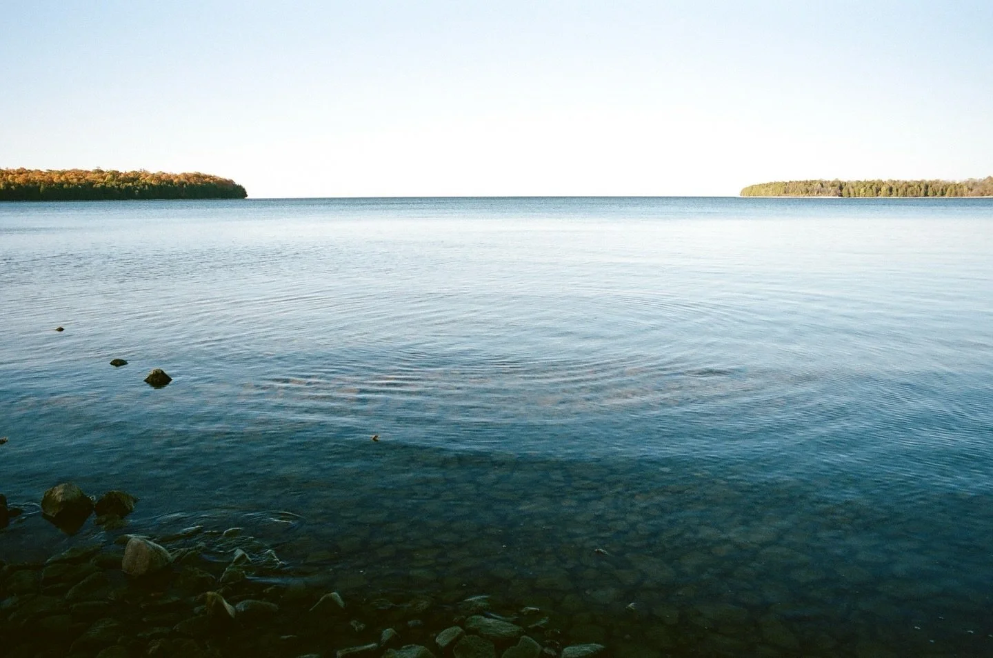 ︵‿︵‿︵‿︵