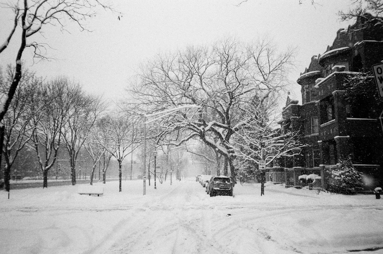 Logan Square - 4 of 85.jpeg