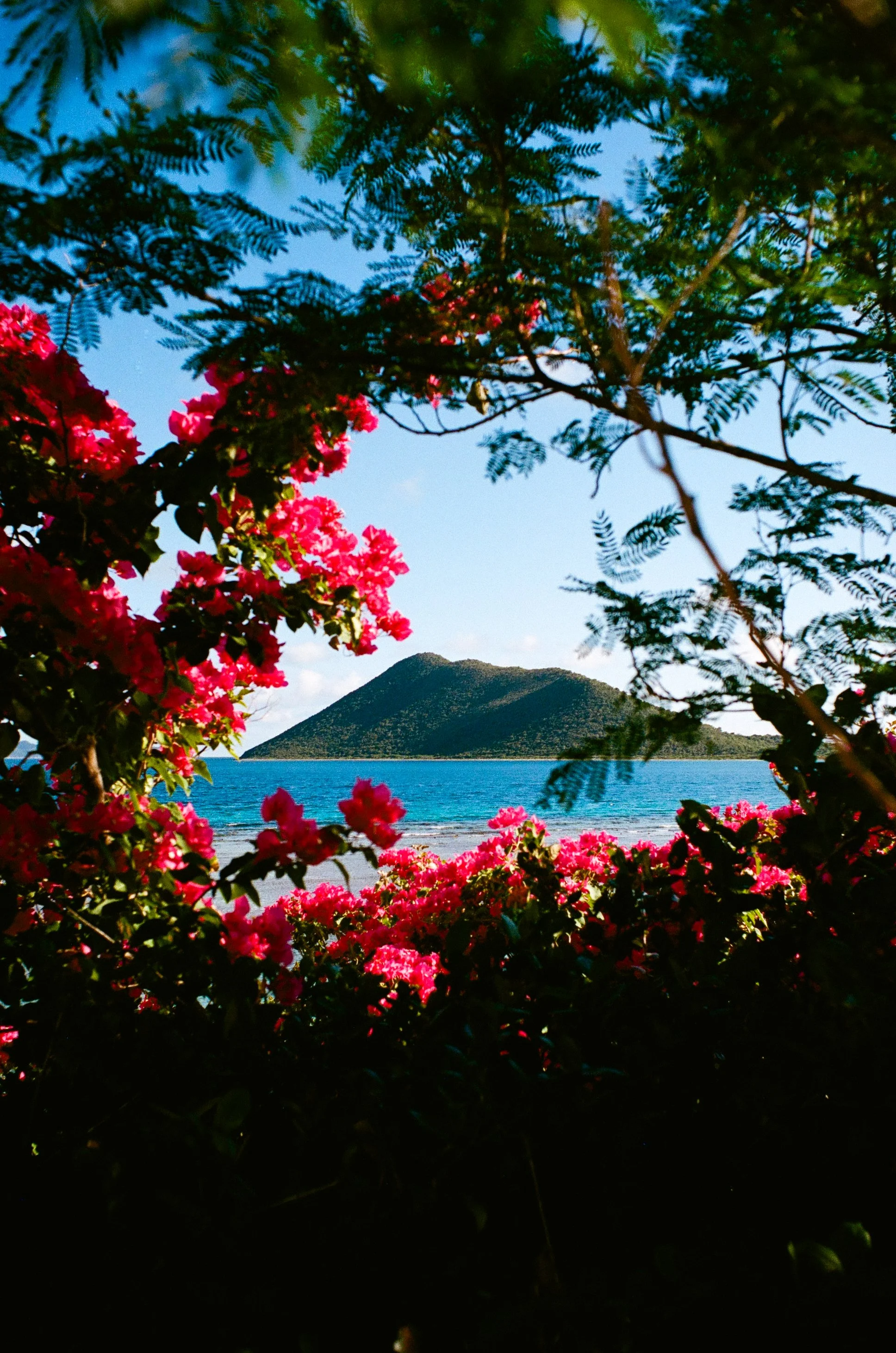 bvis portfolio - 3 of 76.jpeg