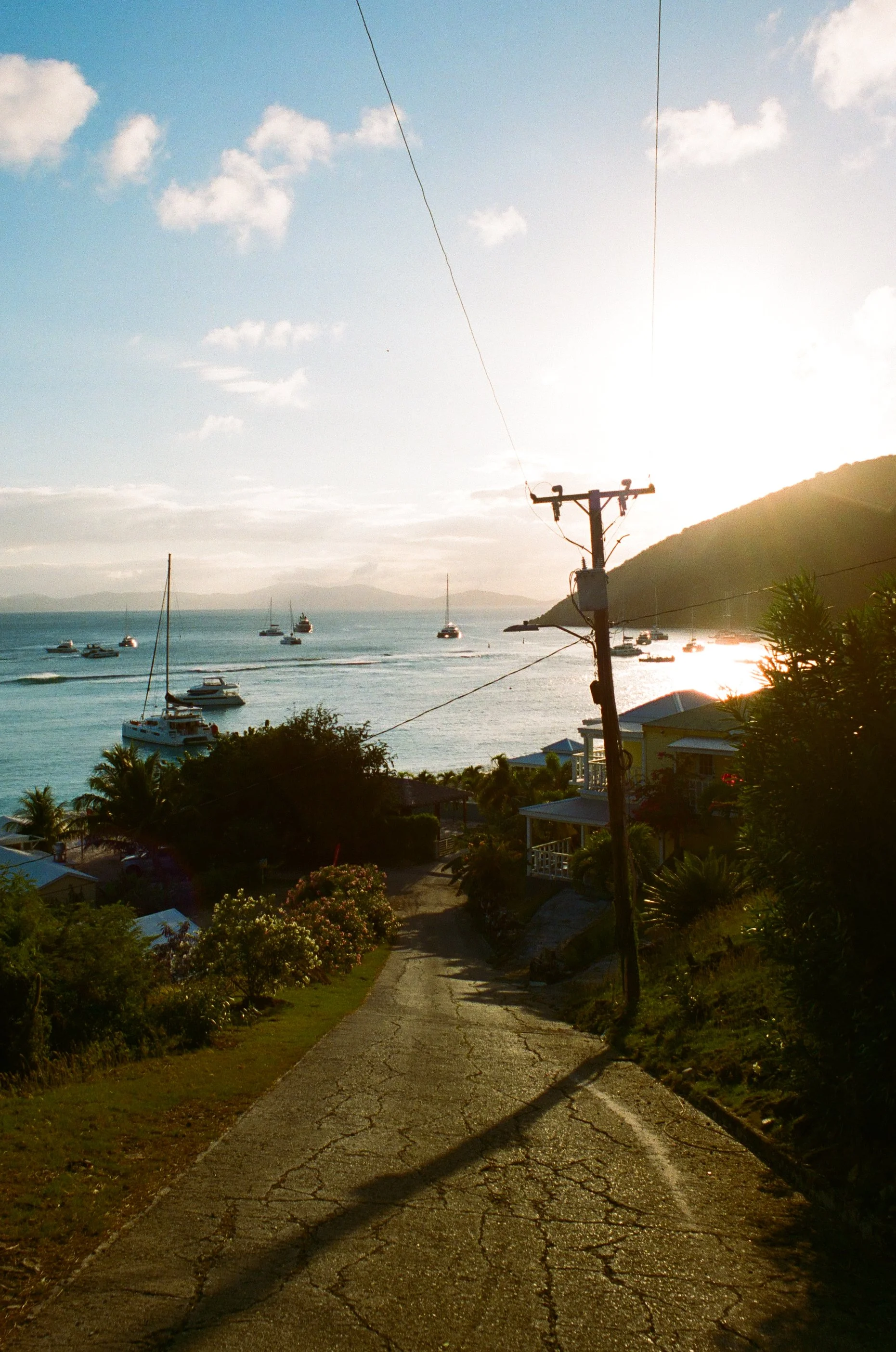 bvis portfolio - 71 of 76.jpeg