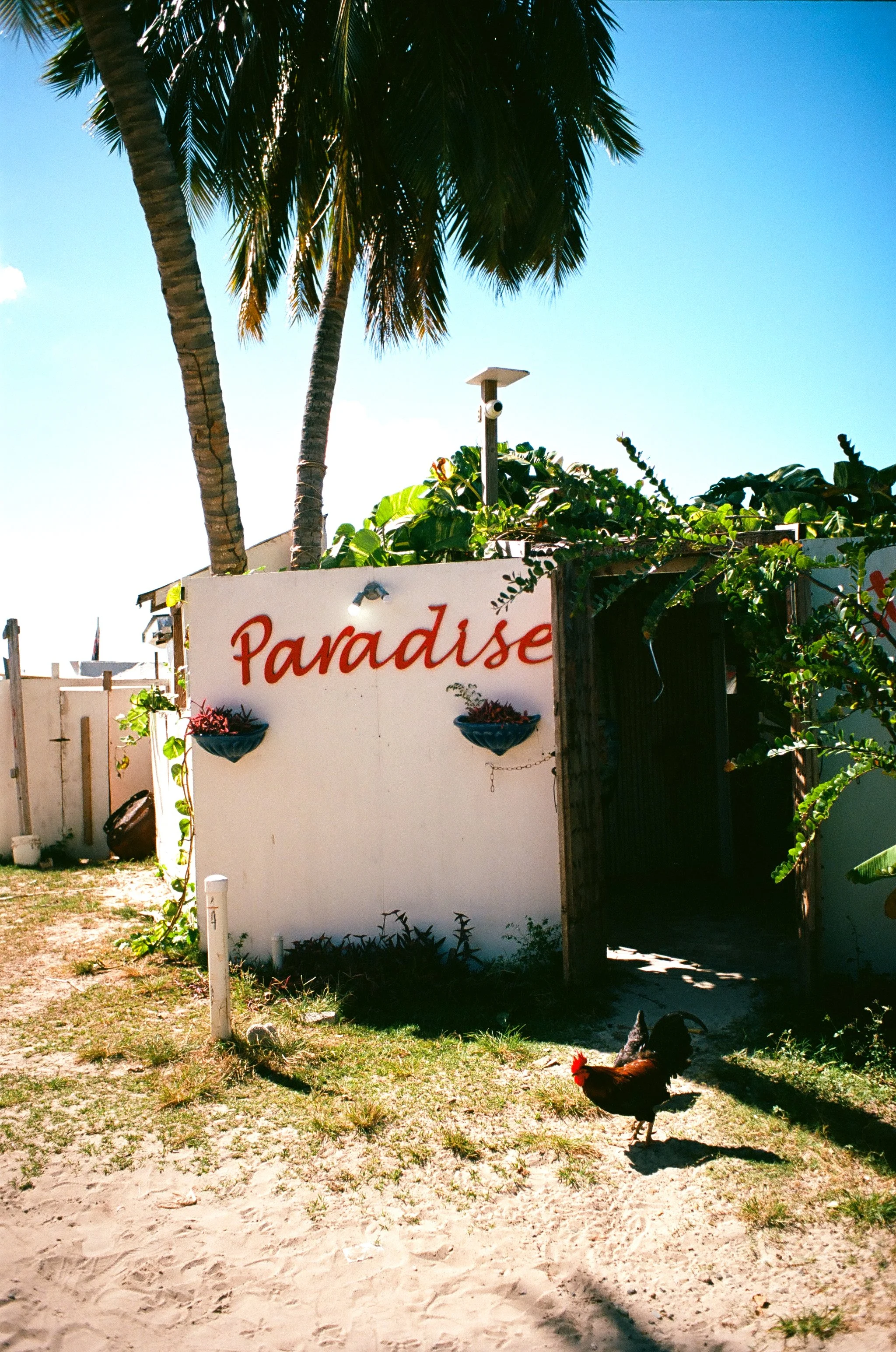 bvis portfolio - 56 of 76.jpeg