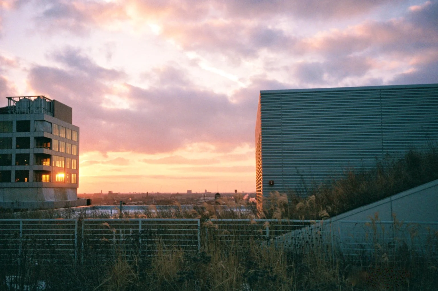 chicagoland favs edit - 14 of 190.jpeg