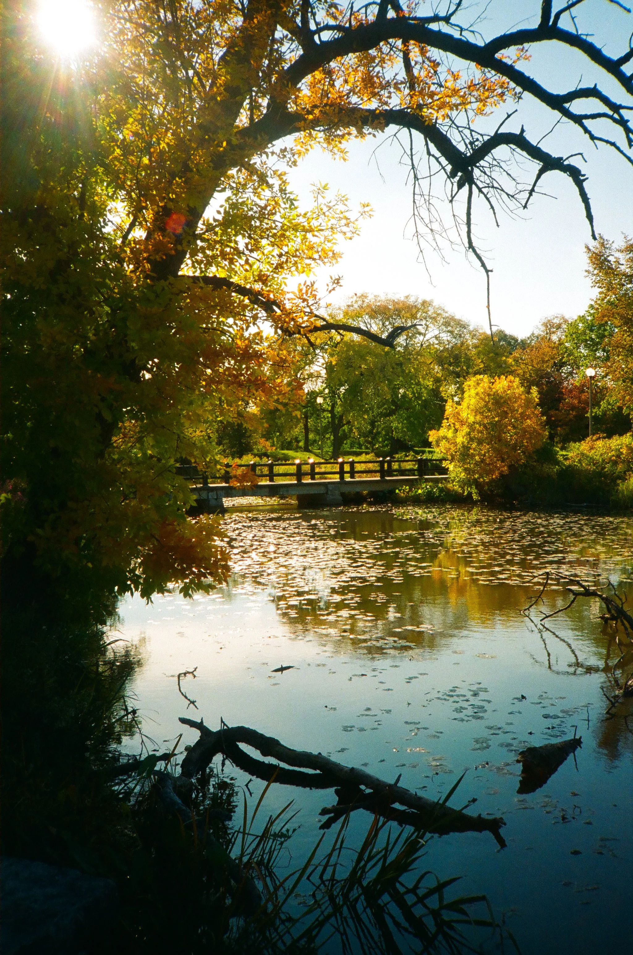 chicagoland favs edit - 111 of 190.jpeg