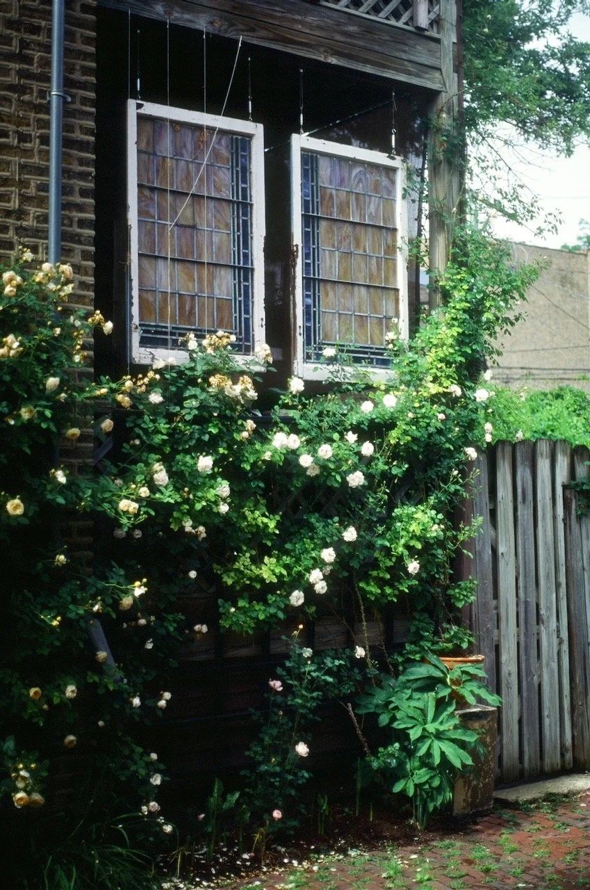 Logan Square - 69 of 85.jpeg