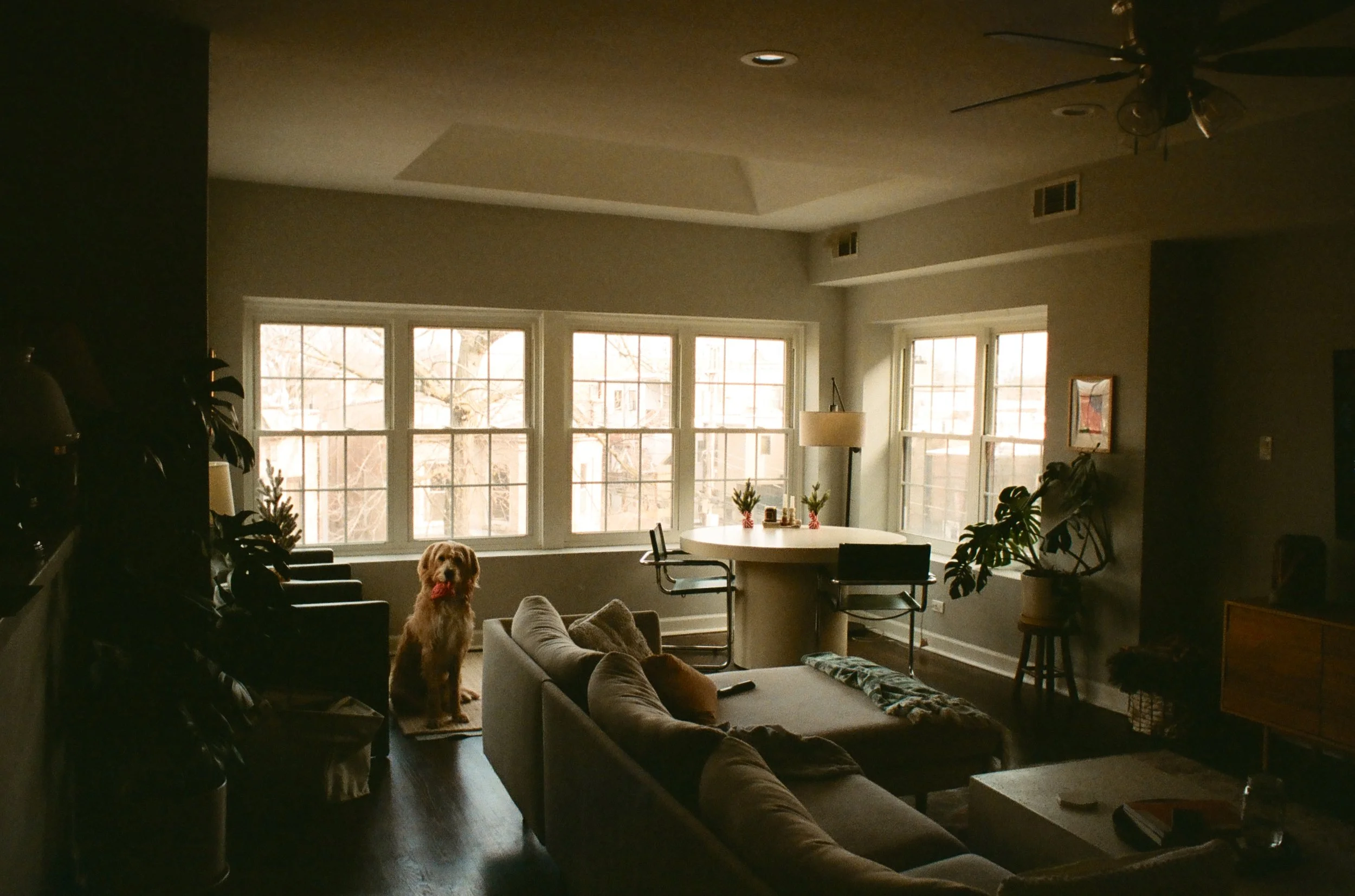 Winter 2023 - 1 of 1.jpeg