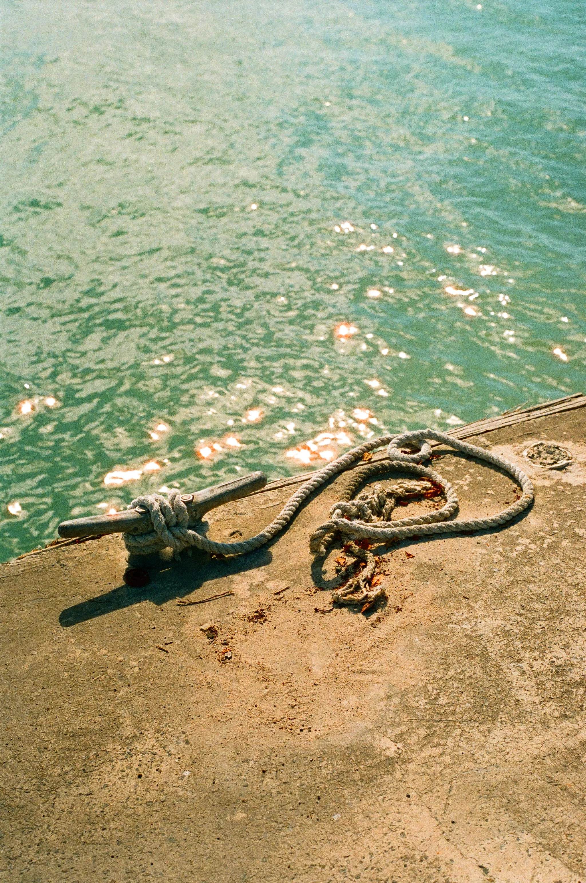 bvis portfolio - 21 of 76.jpeg