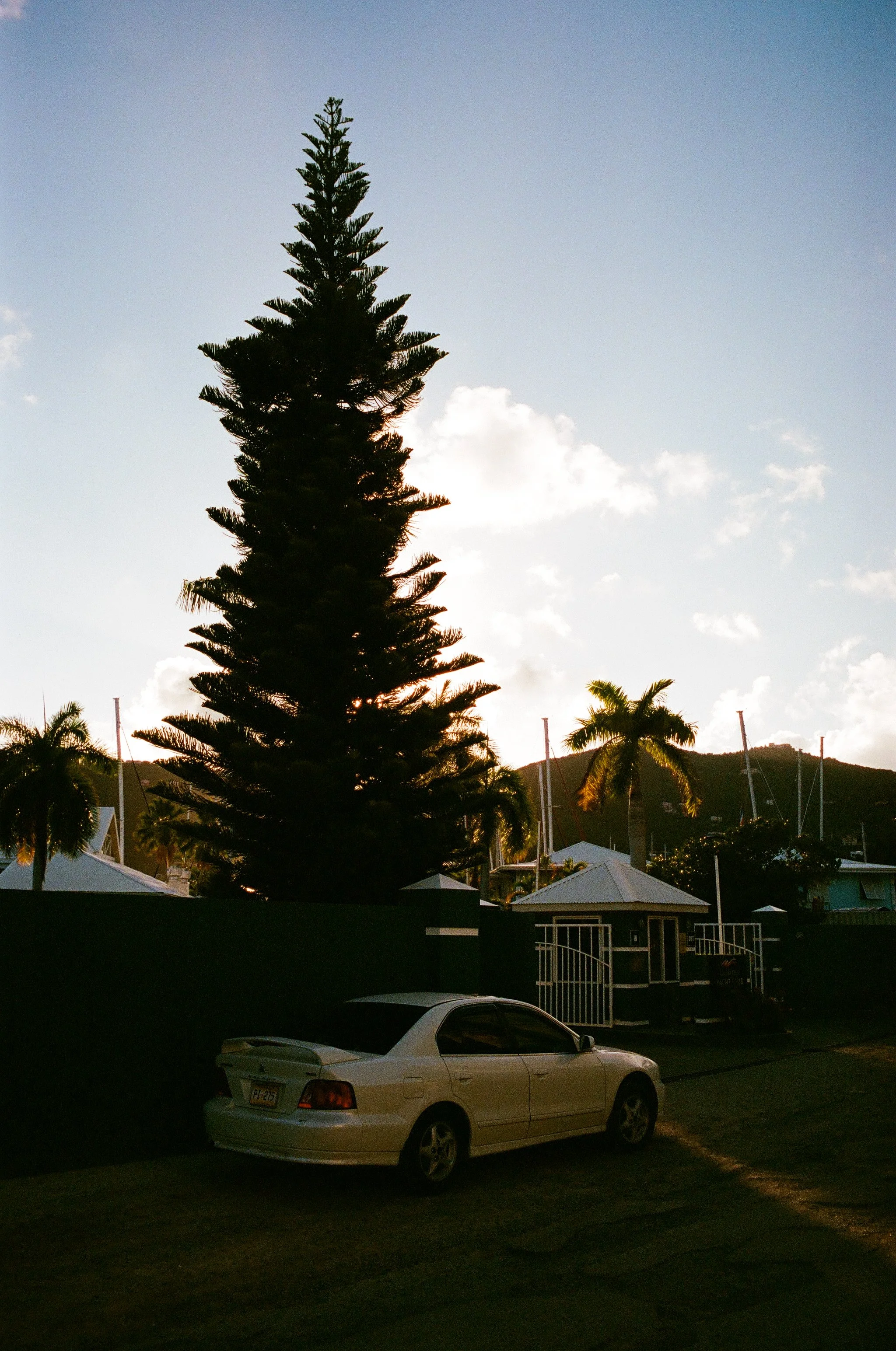 bvis portfolio - 19 of 76.jpeg