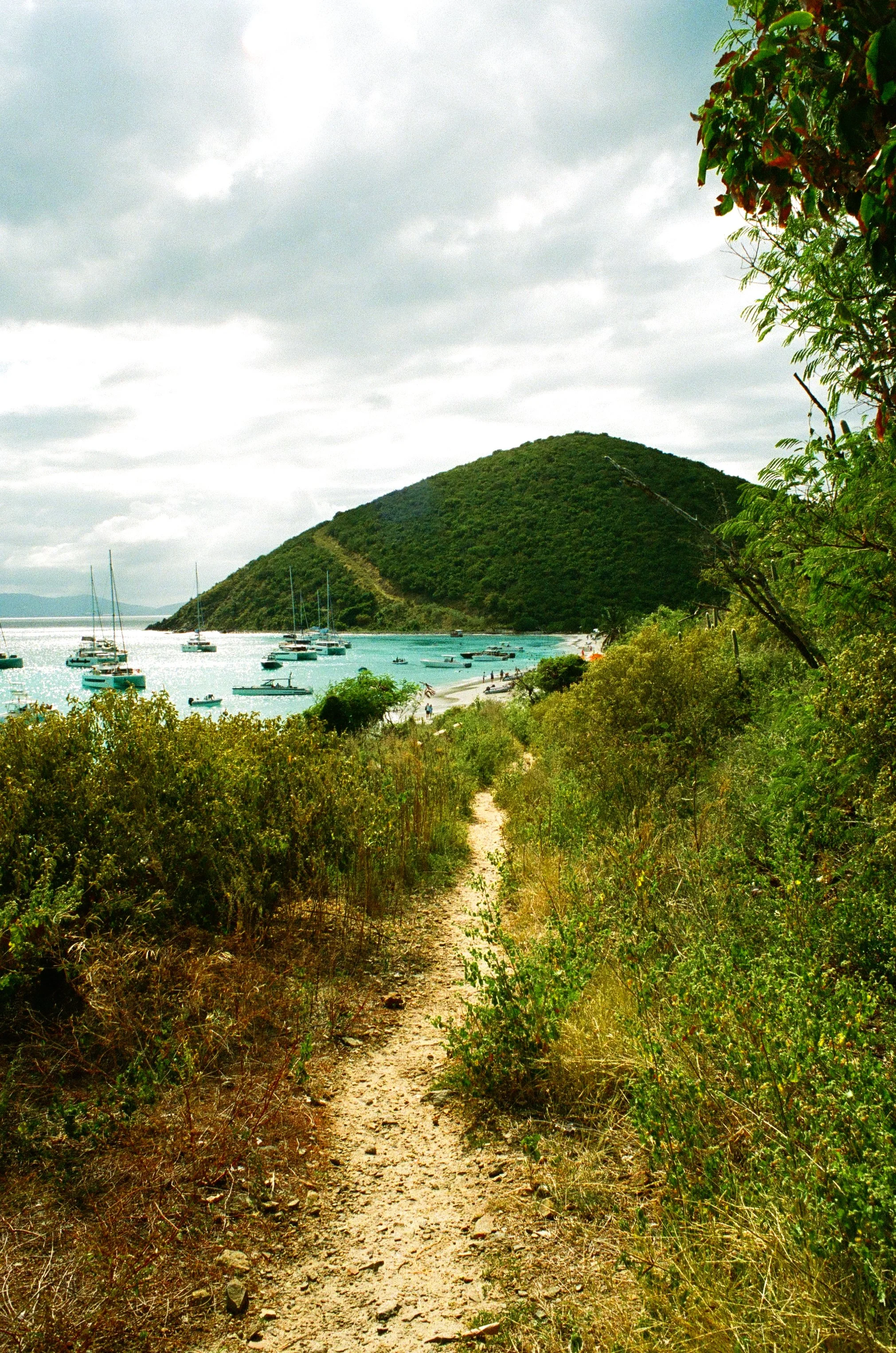 bvis portfolio - 74 of 76.jpeg