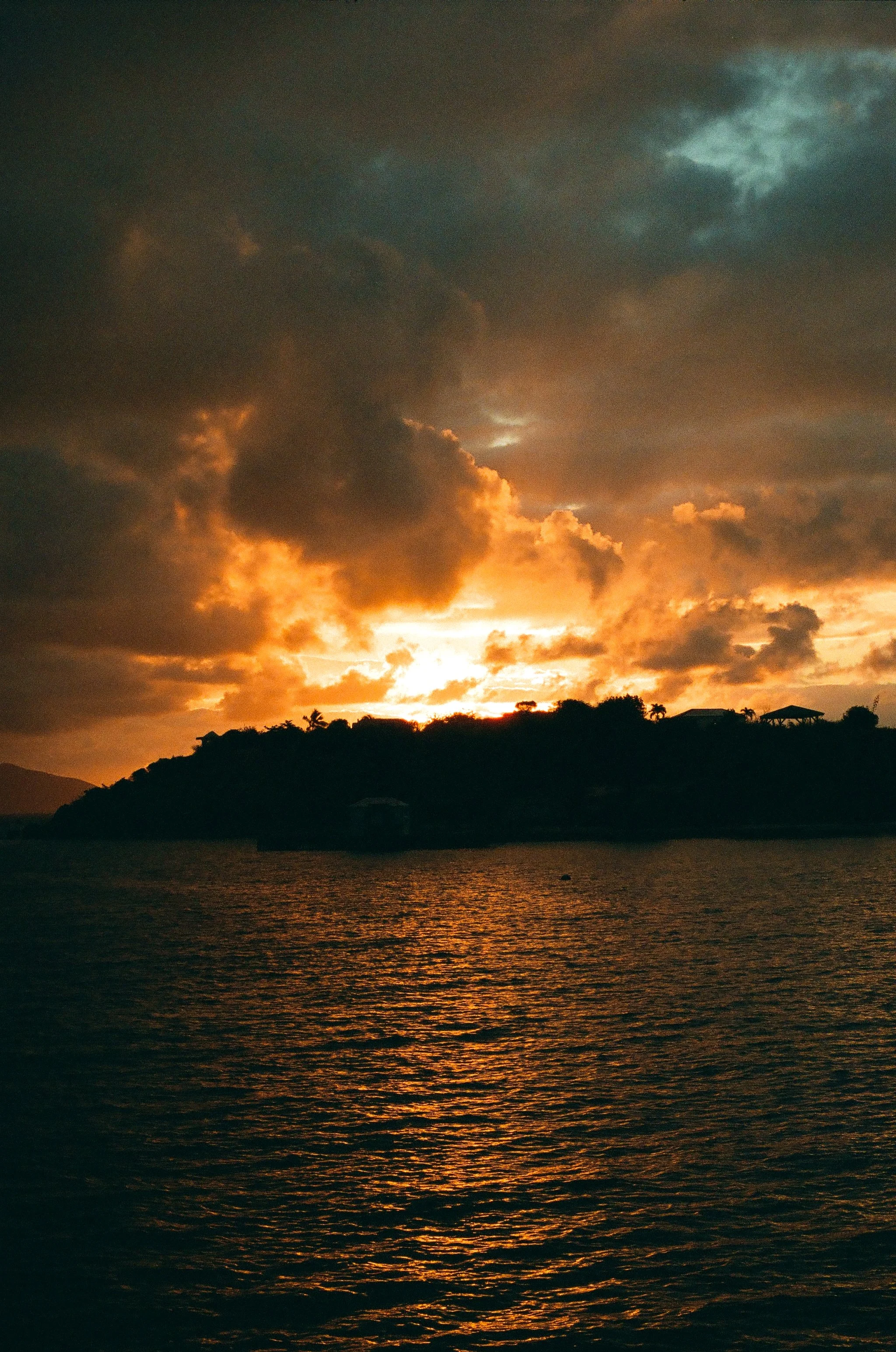 bvis portfolio - 5 of 76.jpeg