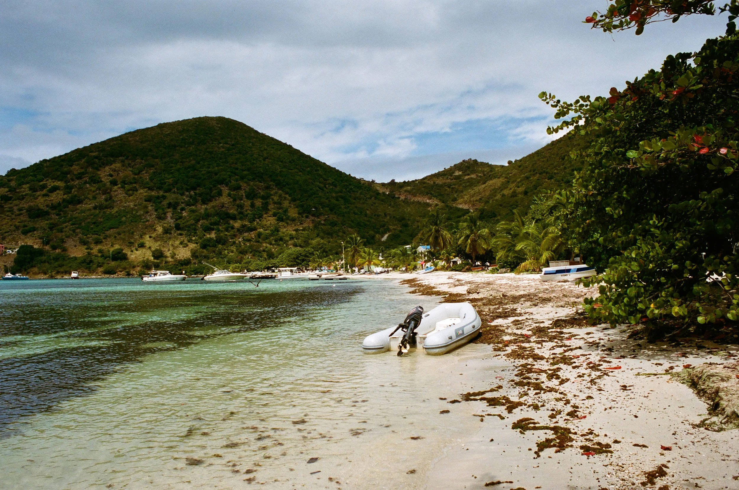 bvis portfolio - 62 of 76.jpeg