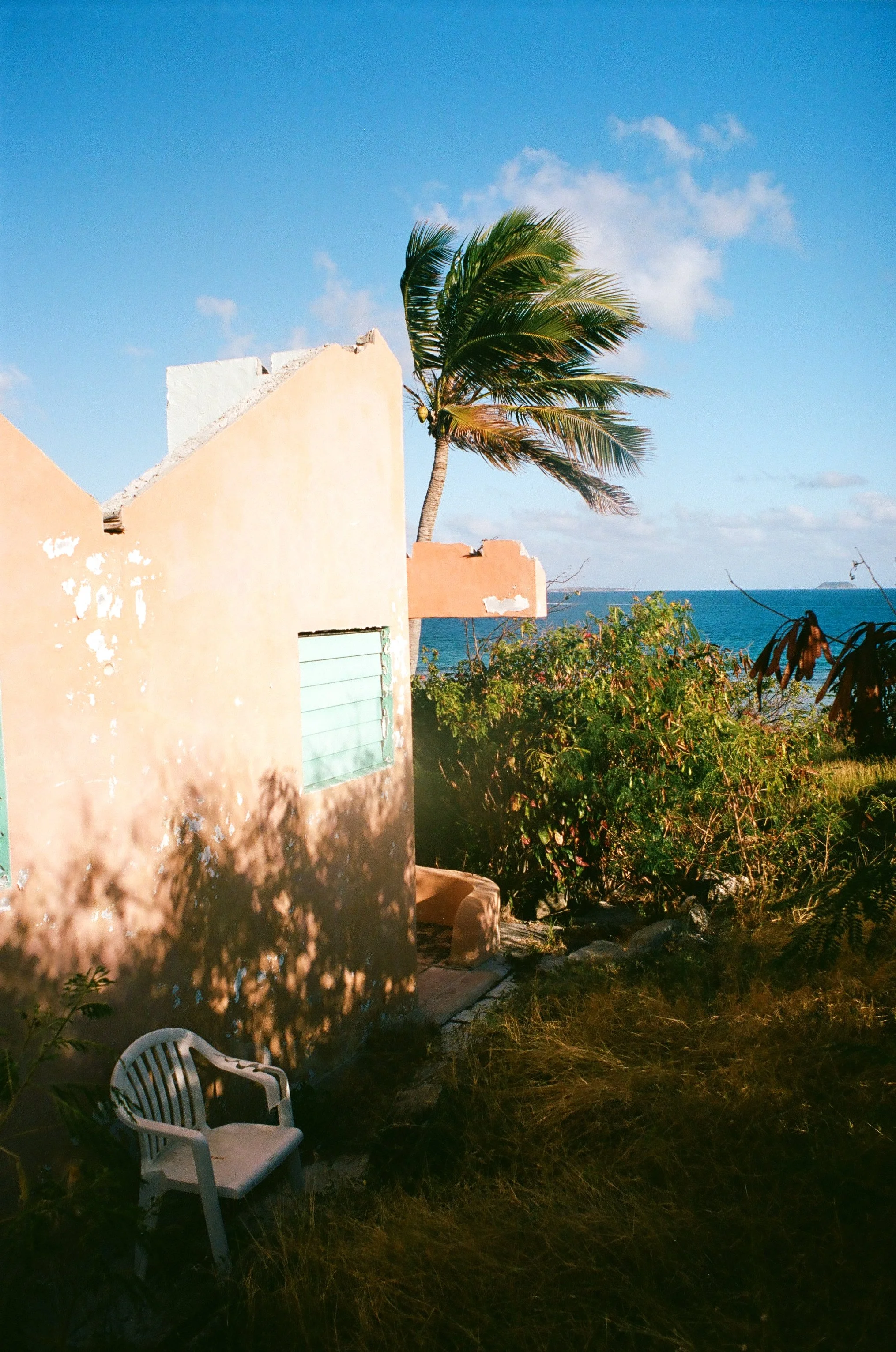 bvis portfolio - 28 of 76.jpeg