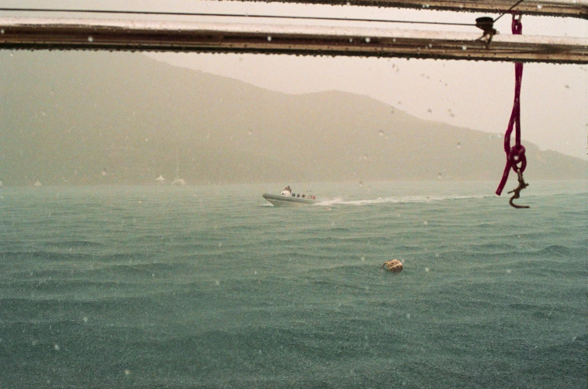 bvis portfolio - 40 of 76.jpeg