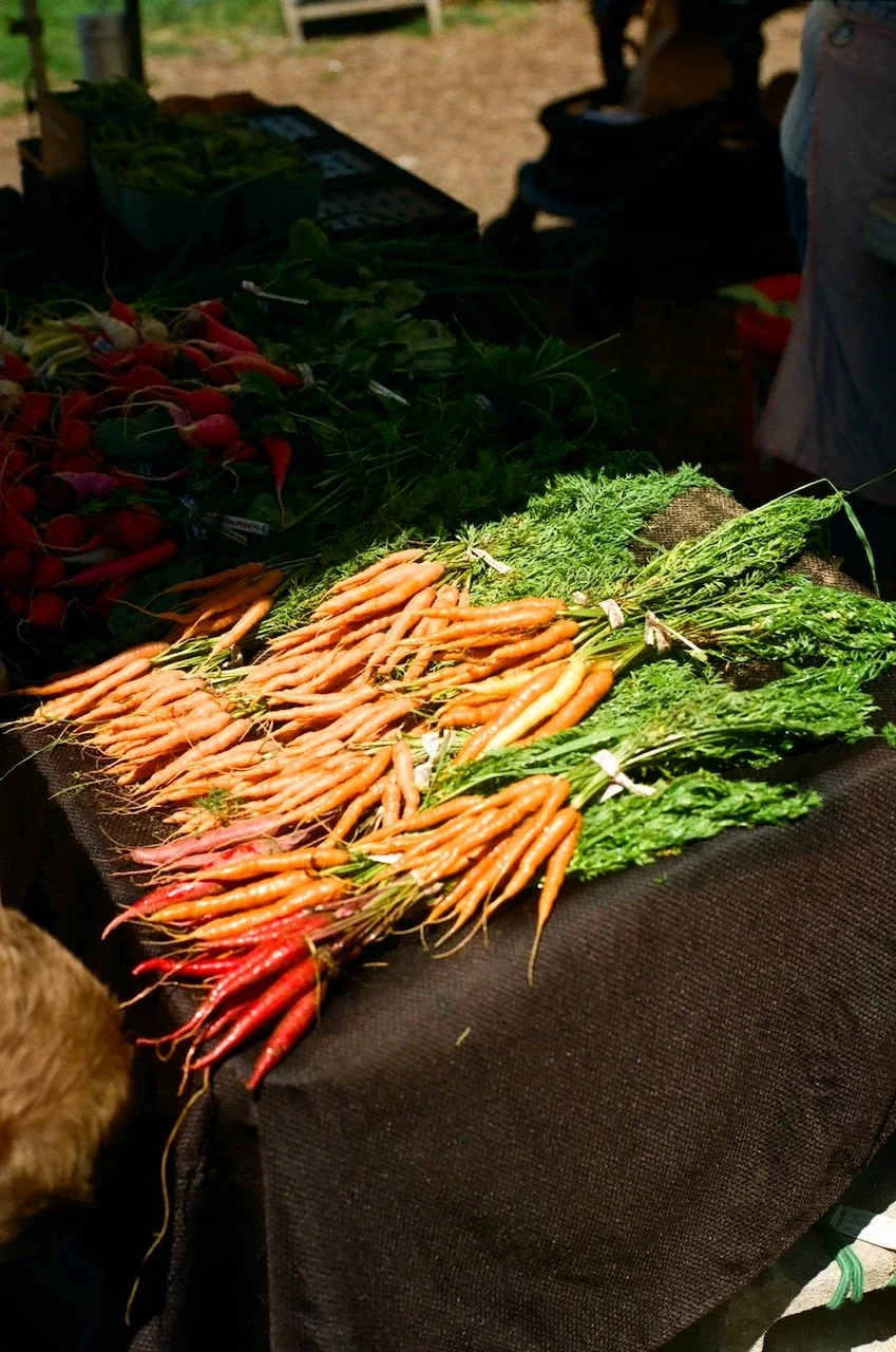 Logan Square - 78 of 85.jpeg